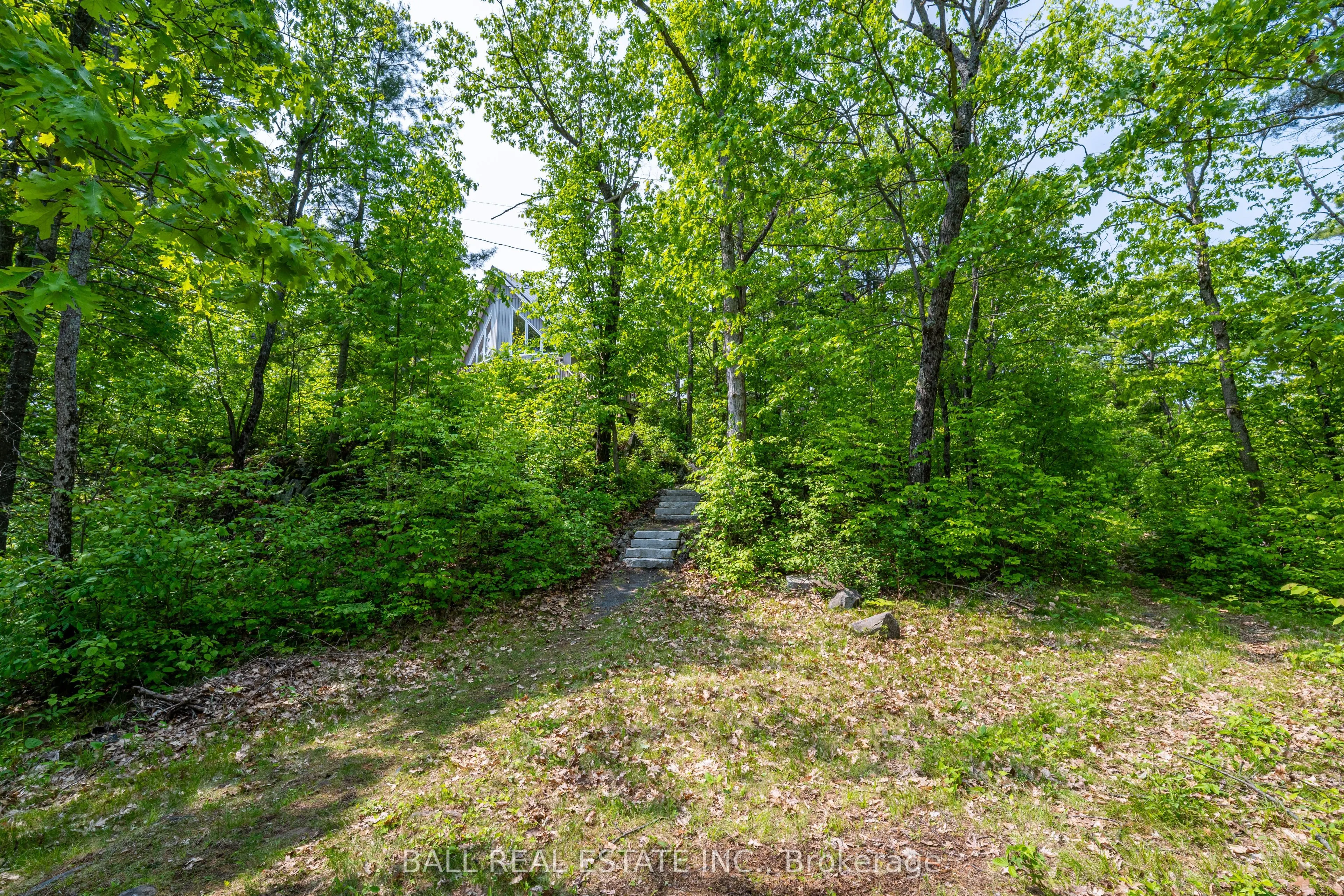 1 Cordova Lake-Water Access