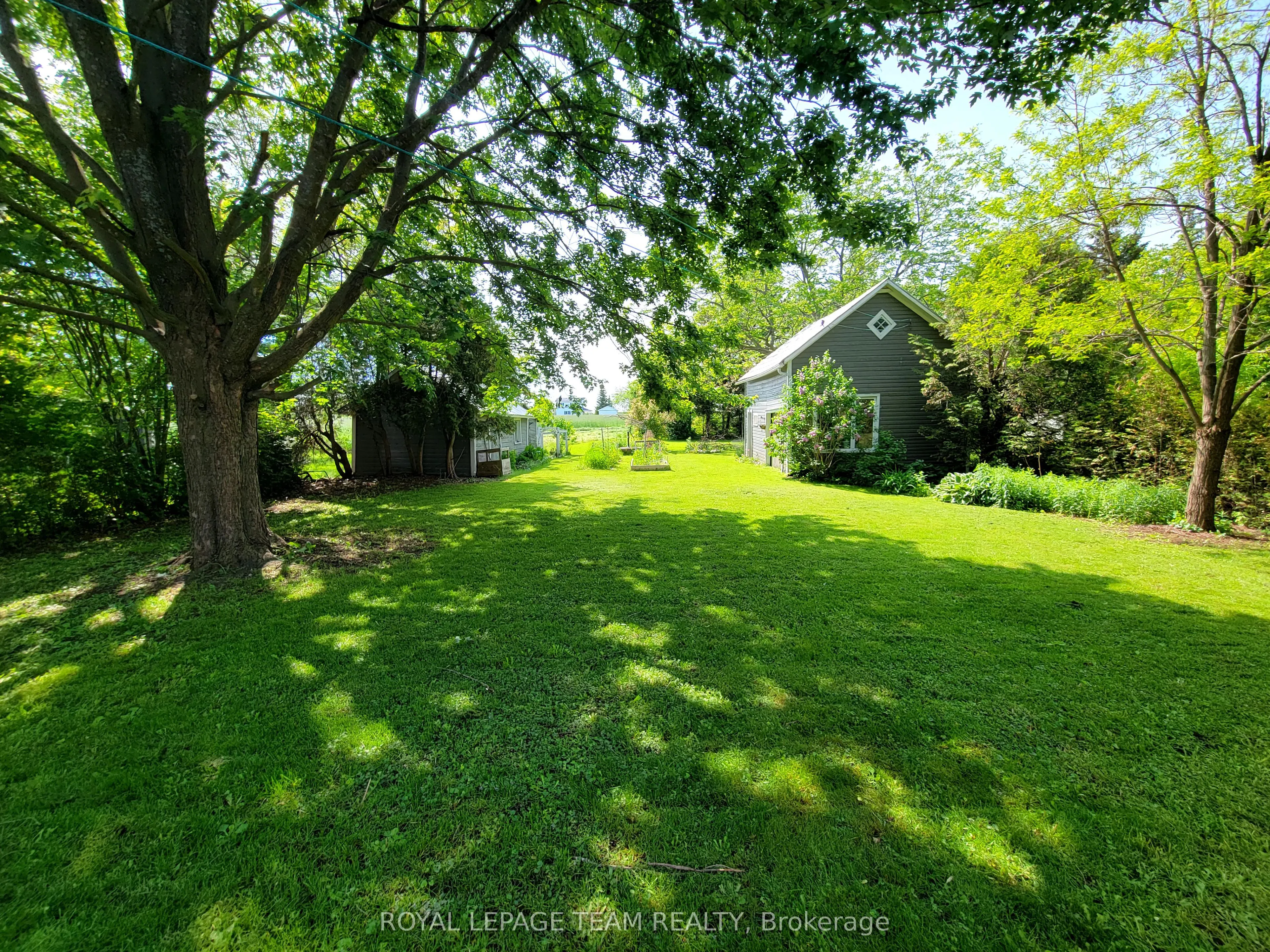 16 Peter Street S