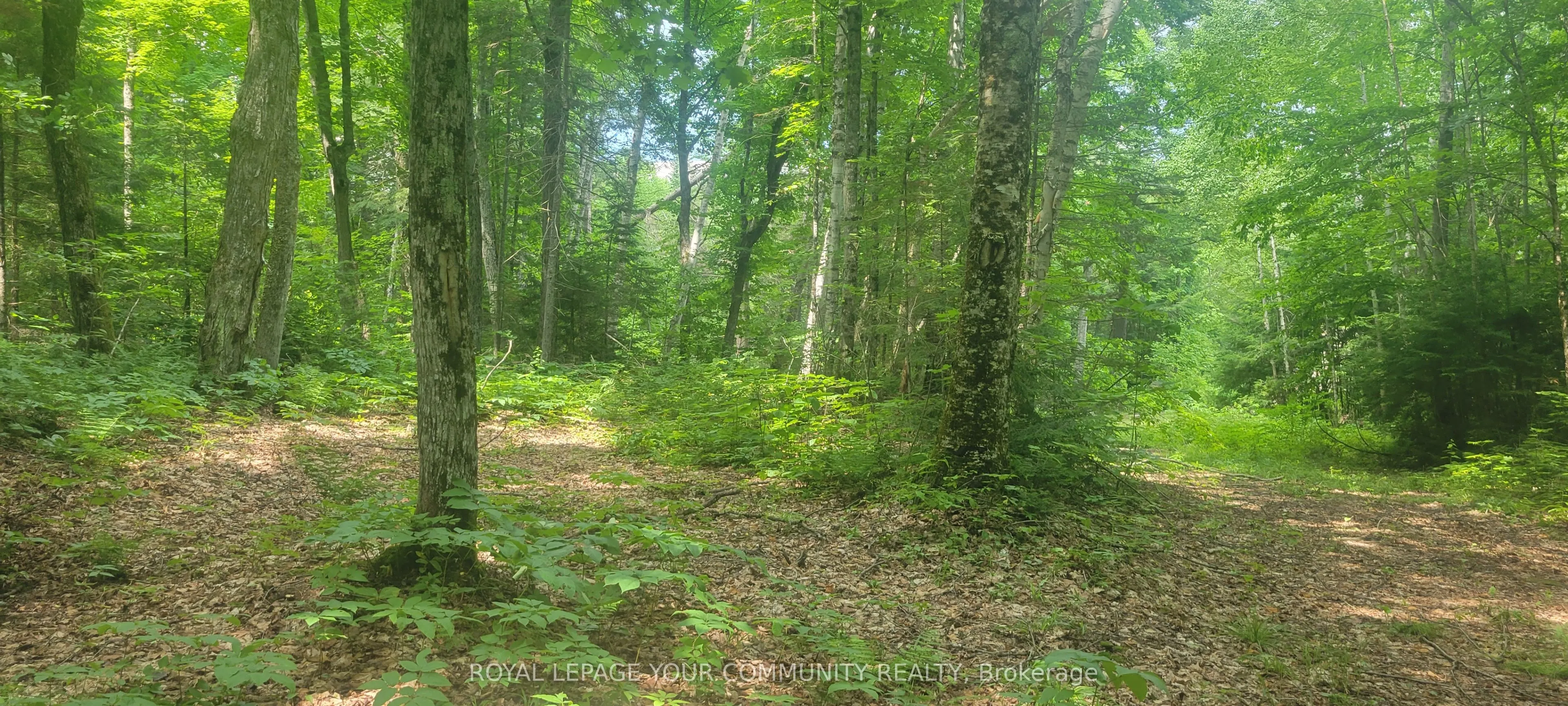 1610 Tusk Trail