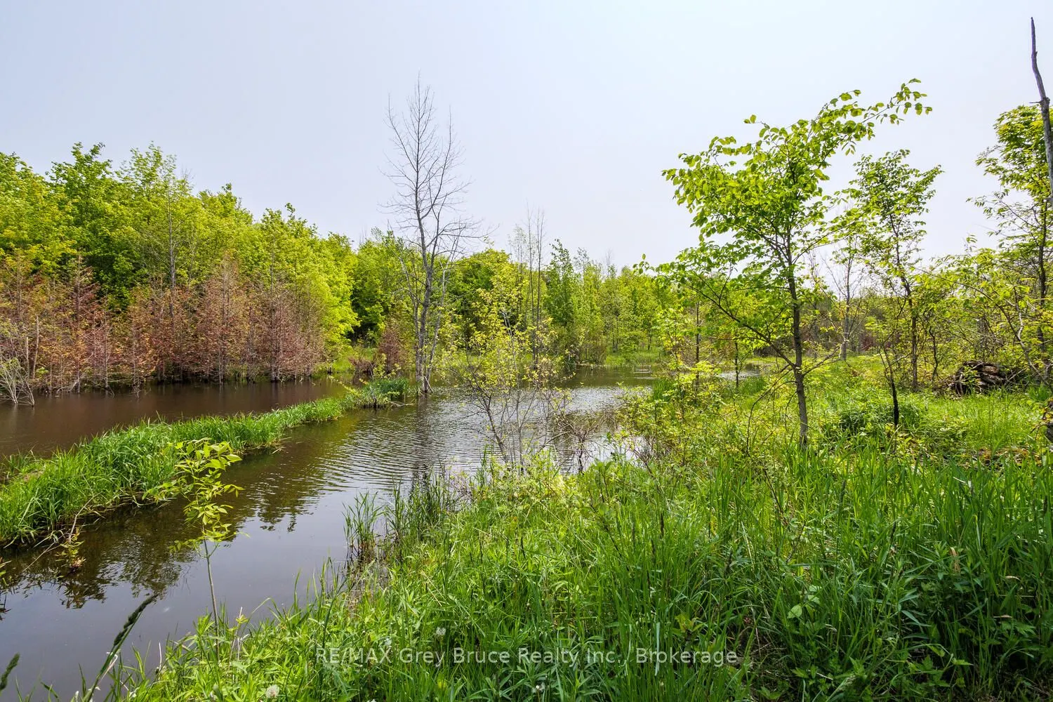 1033 Bruce Road 9
