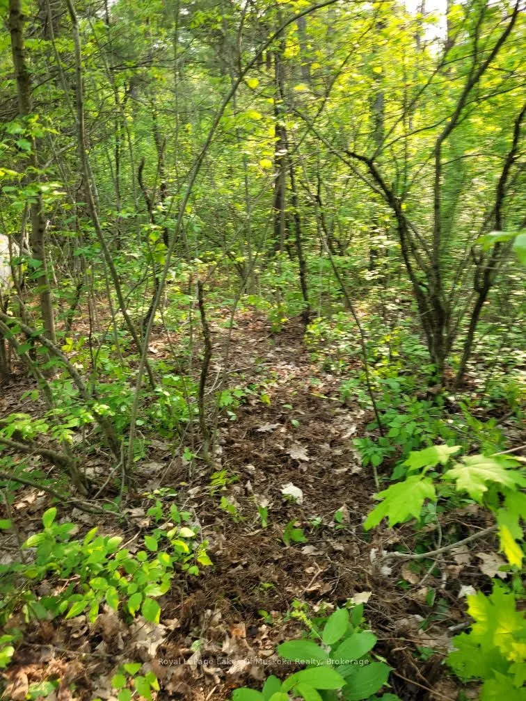 00 South Portage Road