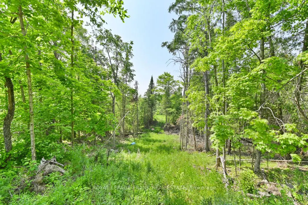 4 Wolf Lake Road