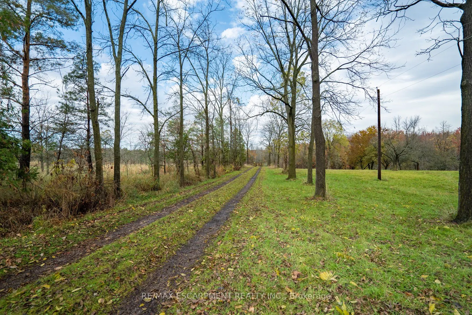 1172 8th Concession Road W
