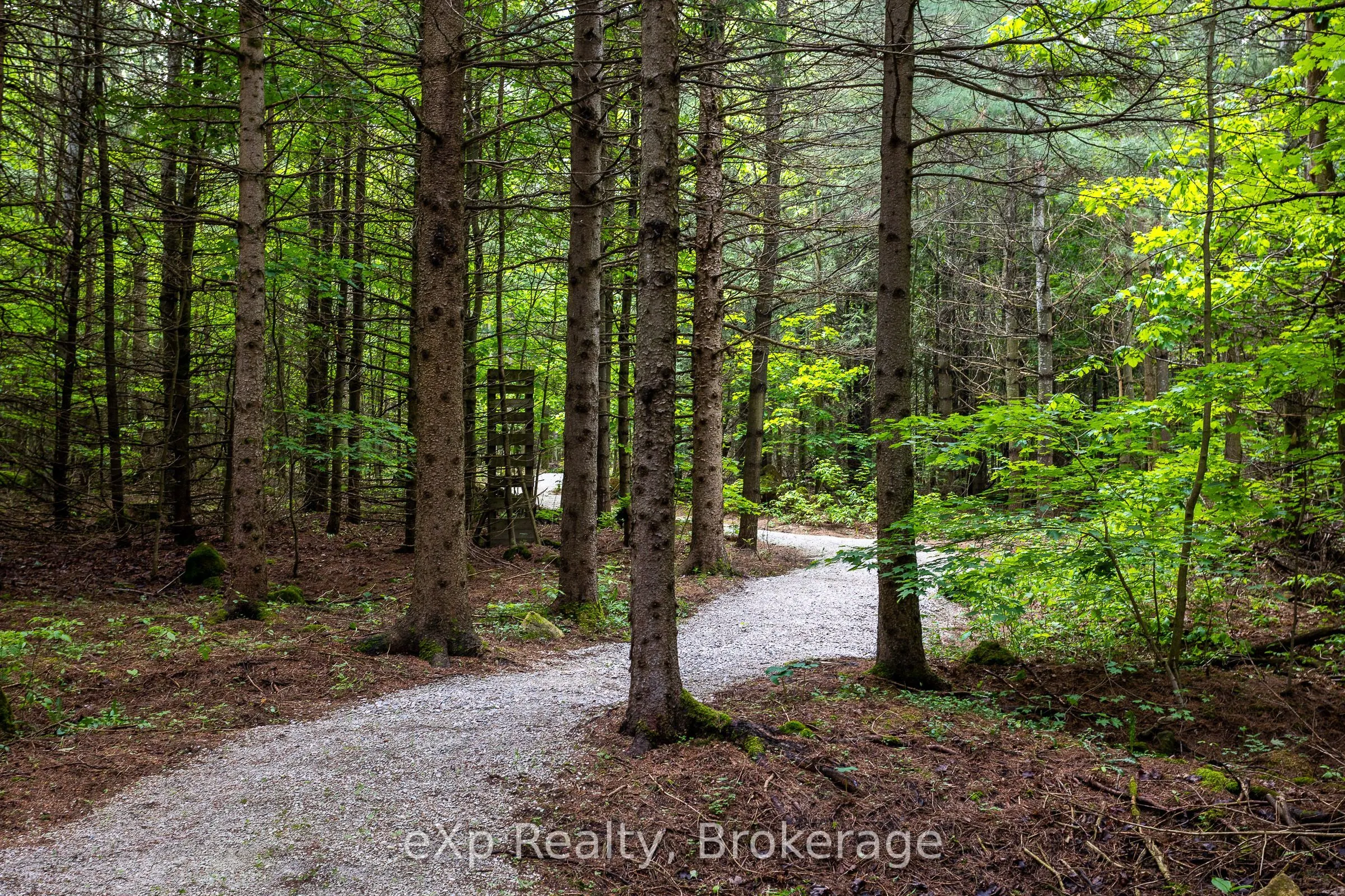 103379 Grey Rd 18