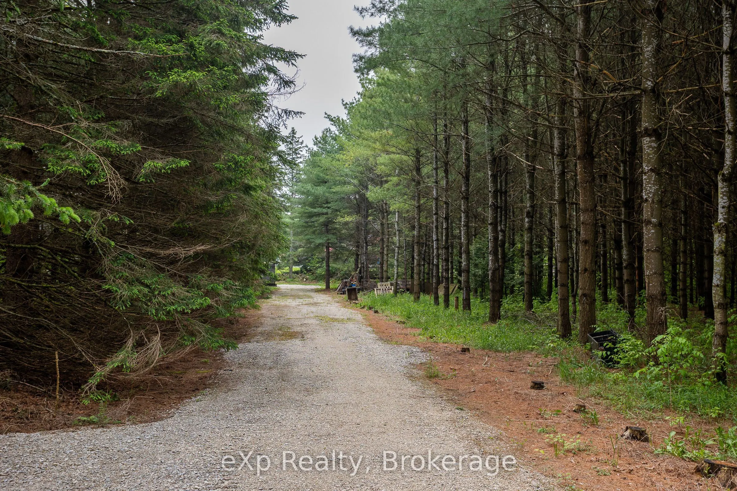 103379 Grey Rd 18
