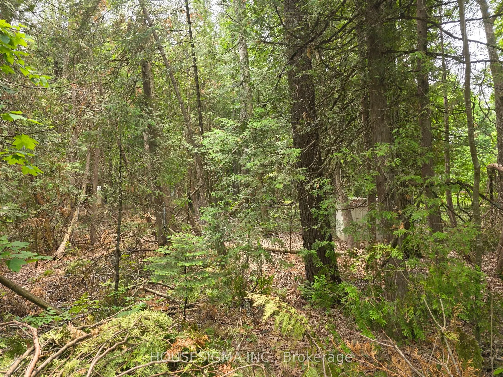 Lot 37 (9) Camelot Place
