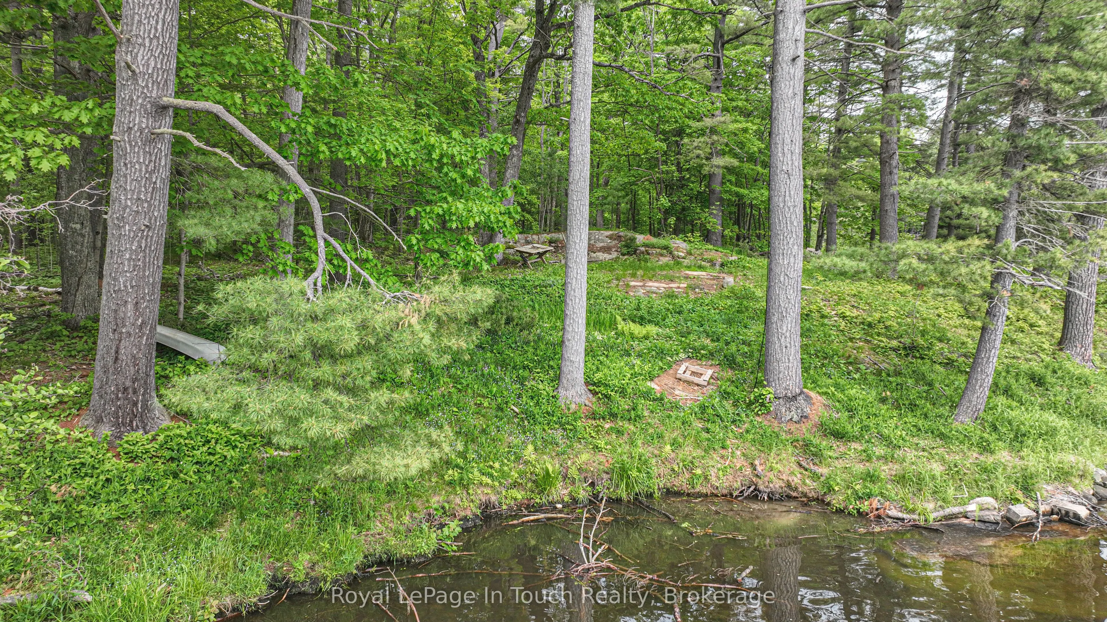 19 SR404 Severn River Shore