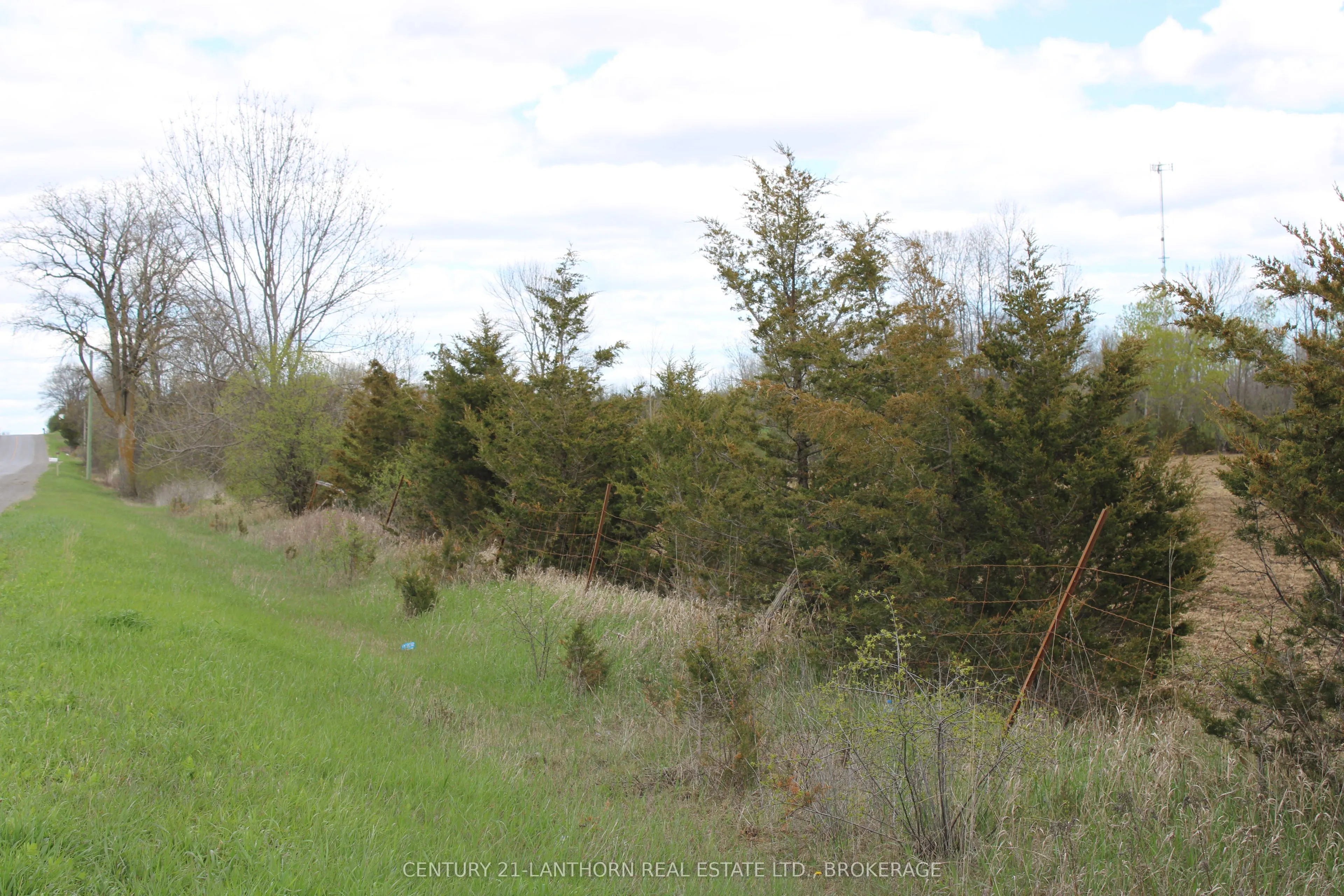 00 Belleville Road W