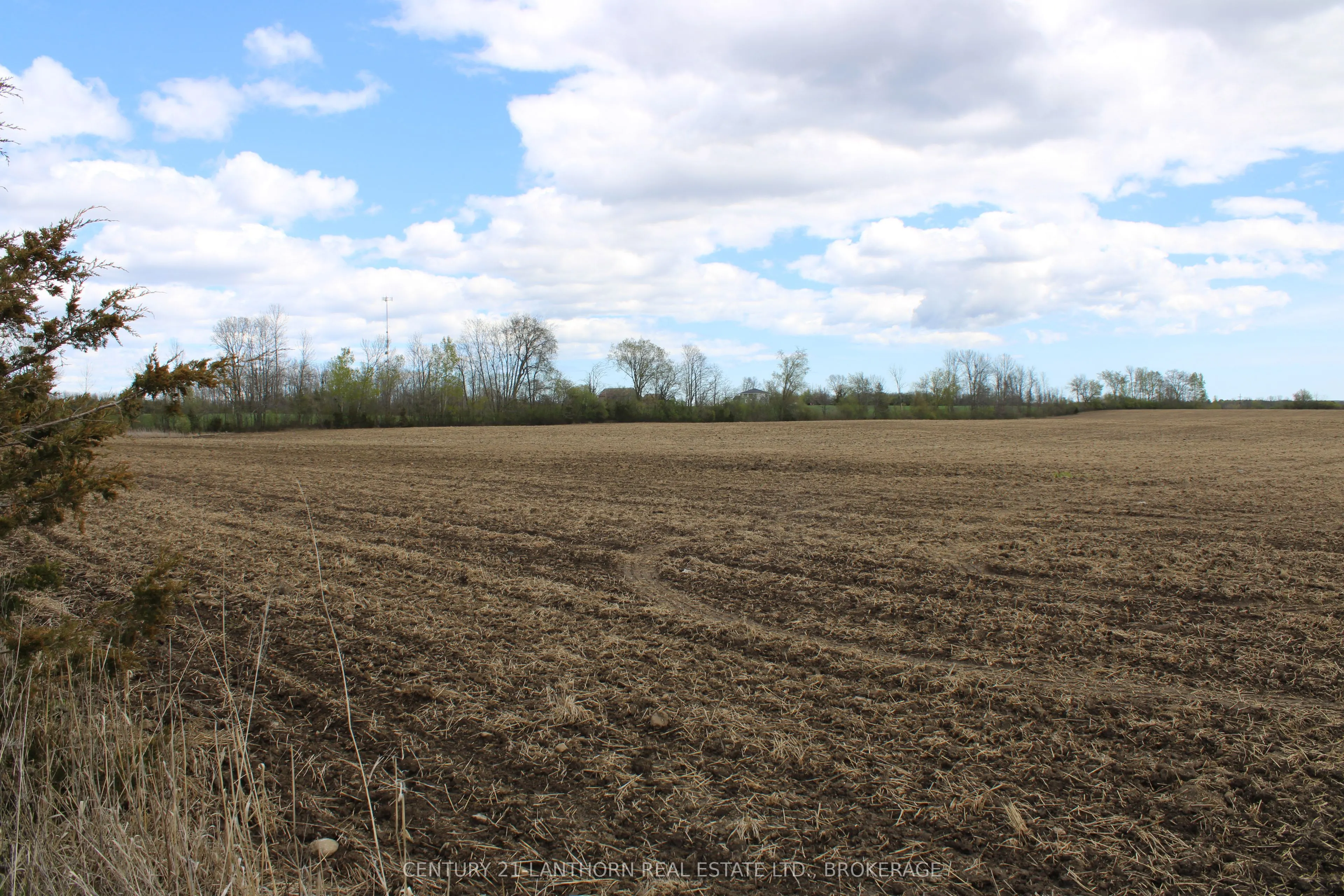 00 Belleville Road W