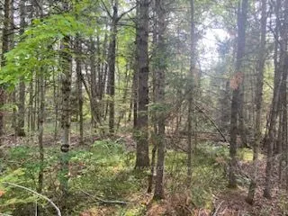 LOT 30 Highway 62
