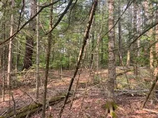 LOT 30 Highway 62