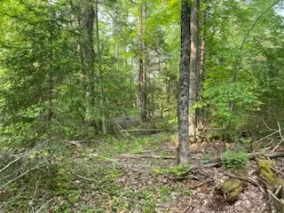 LOT 30 Highway 62