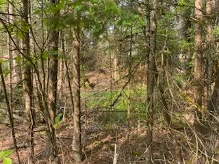 LOT 30 Highway 62