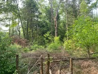 LOT 30 Highway 62