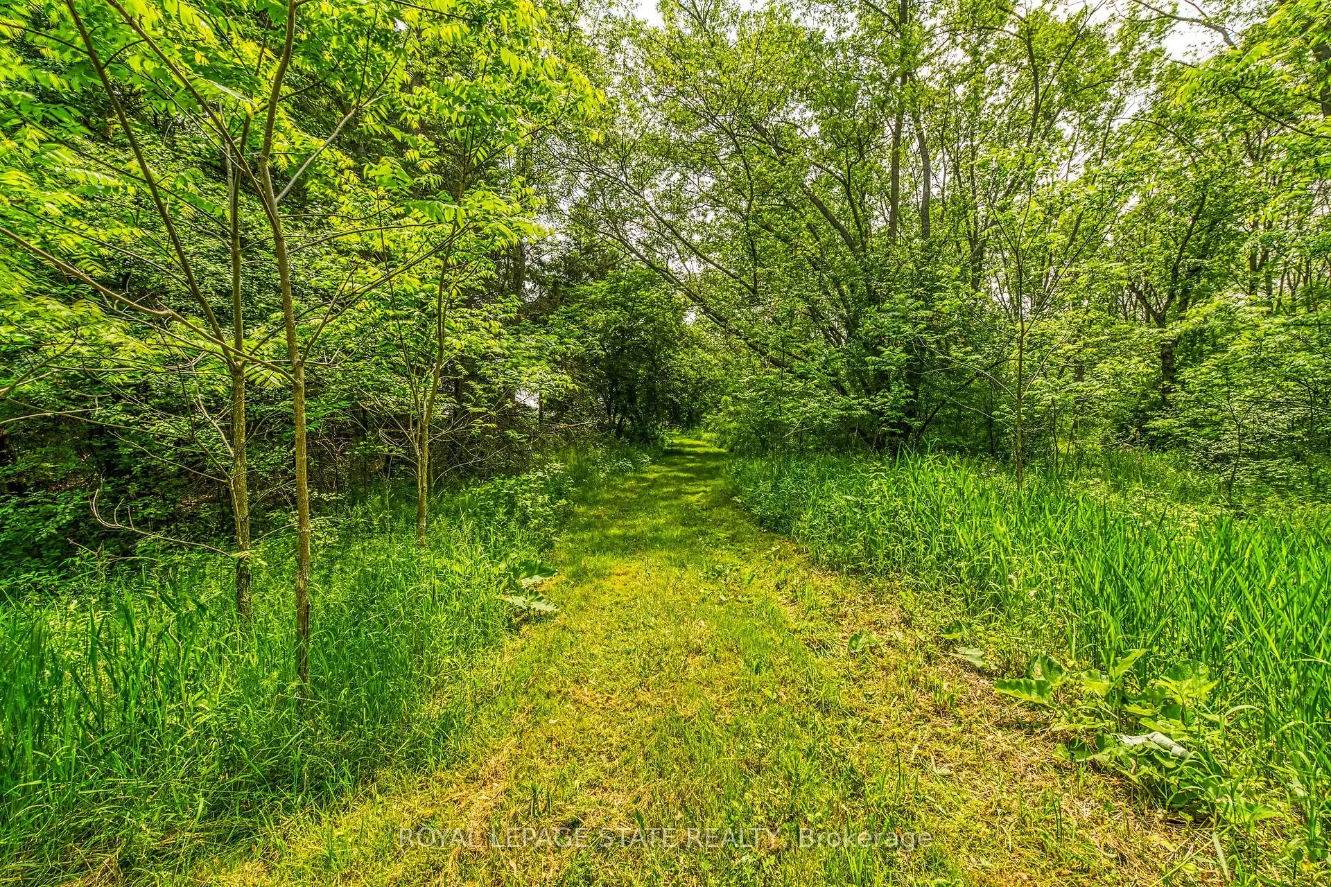 99 Sawmill Road