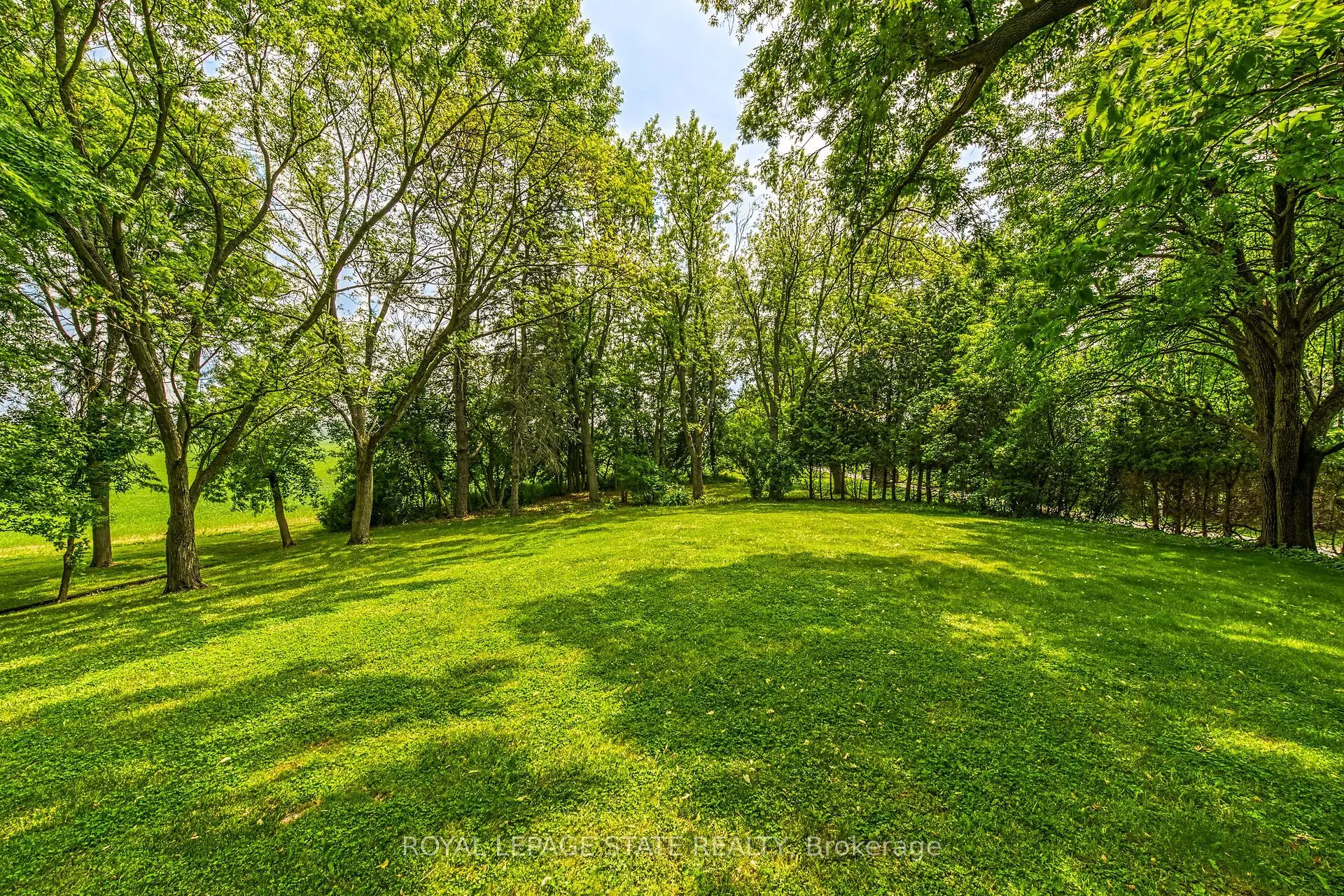 99 Sawmill Road