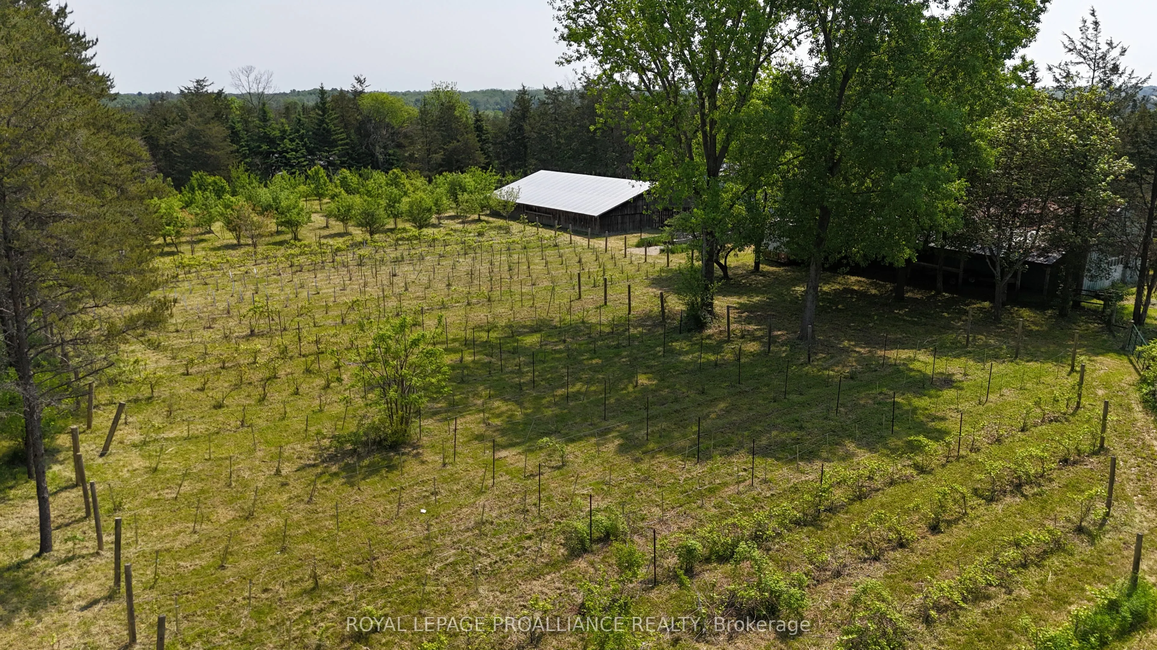 4563 County Road 9