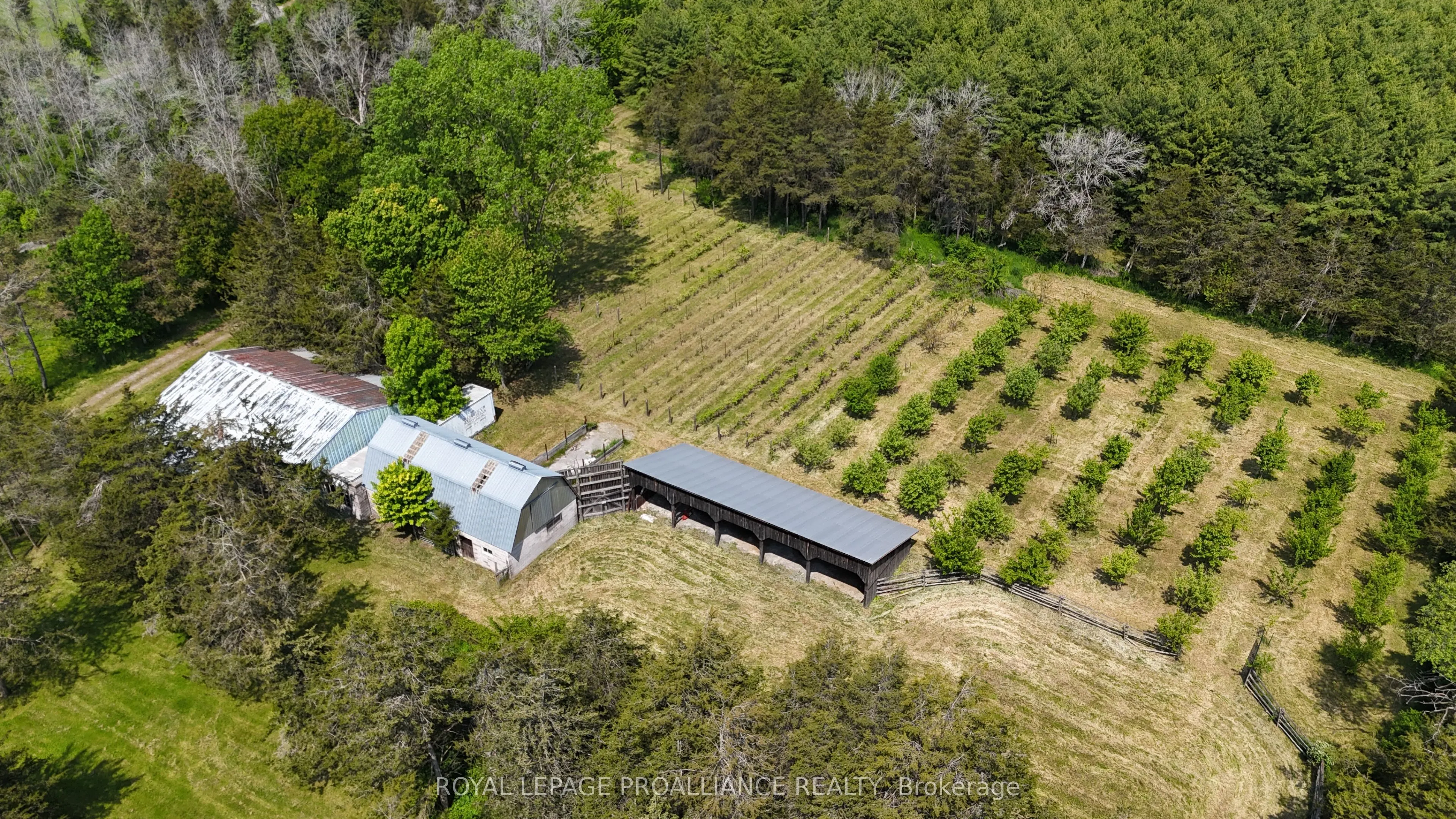 4563 County Road 9