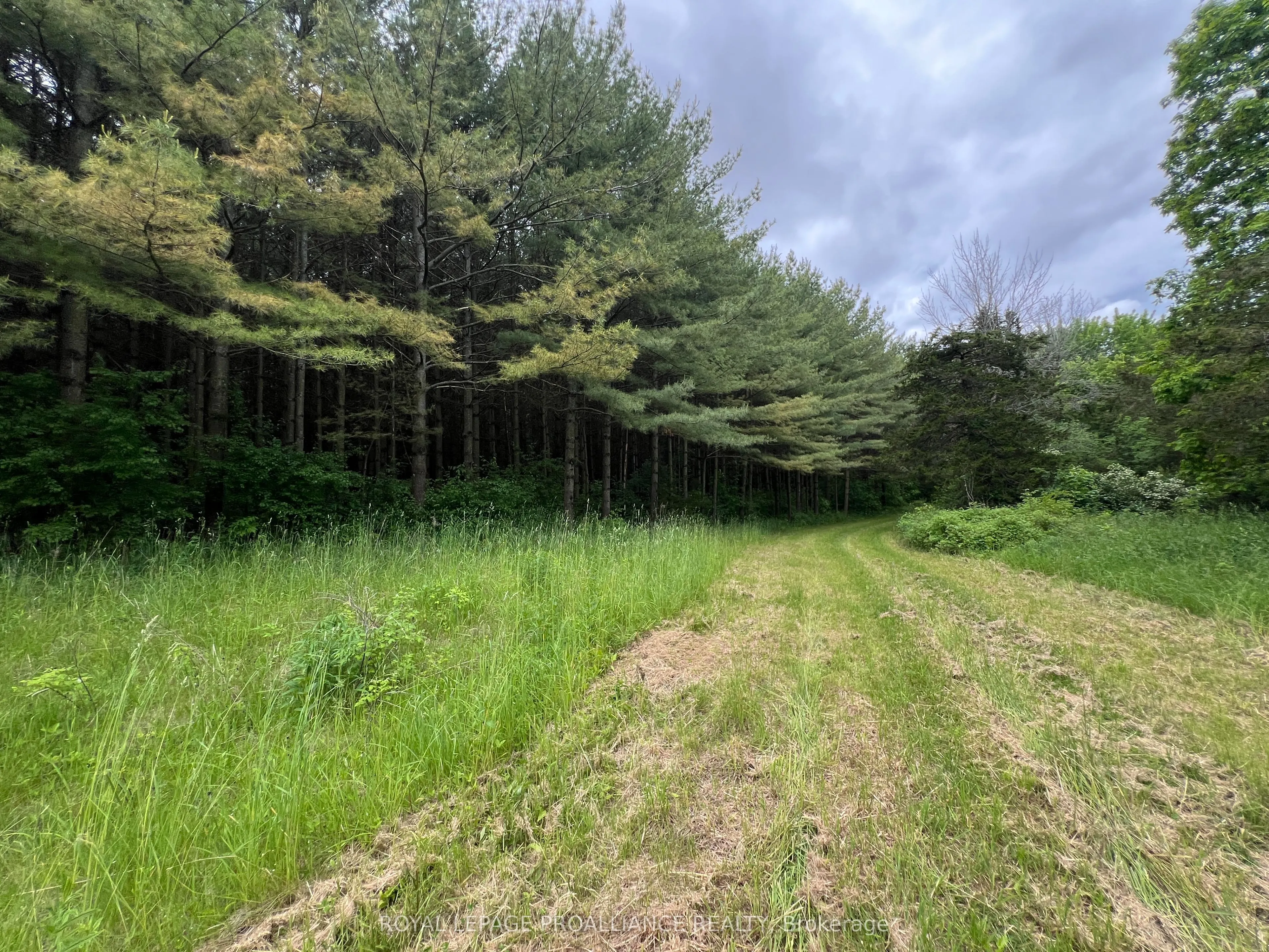 4563 County Road 9