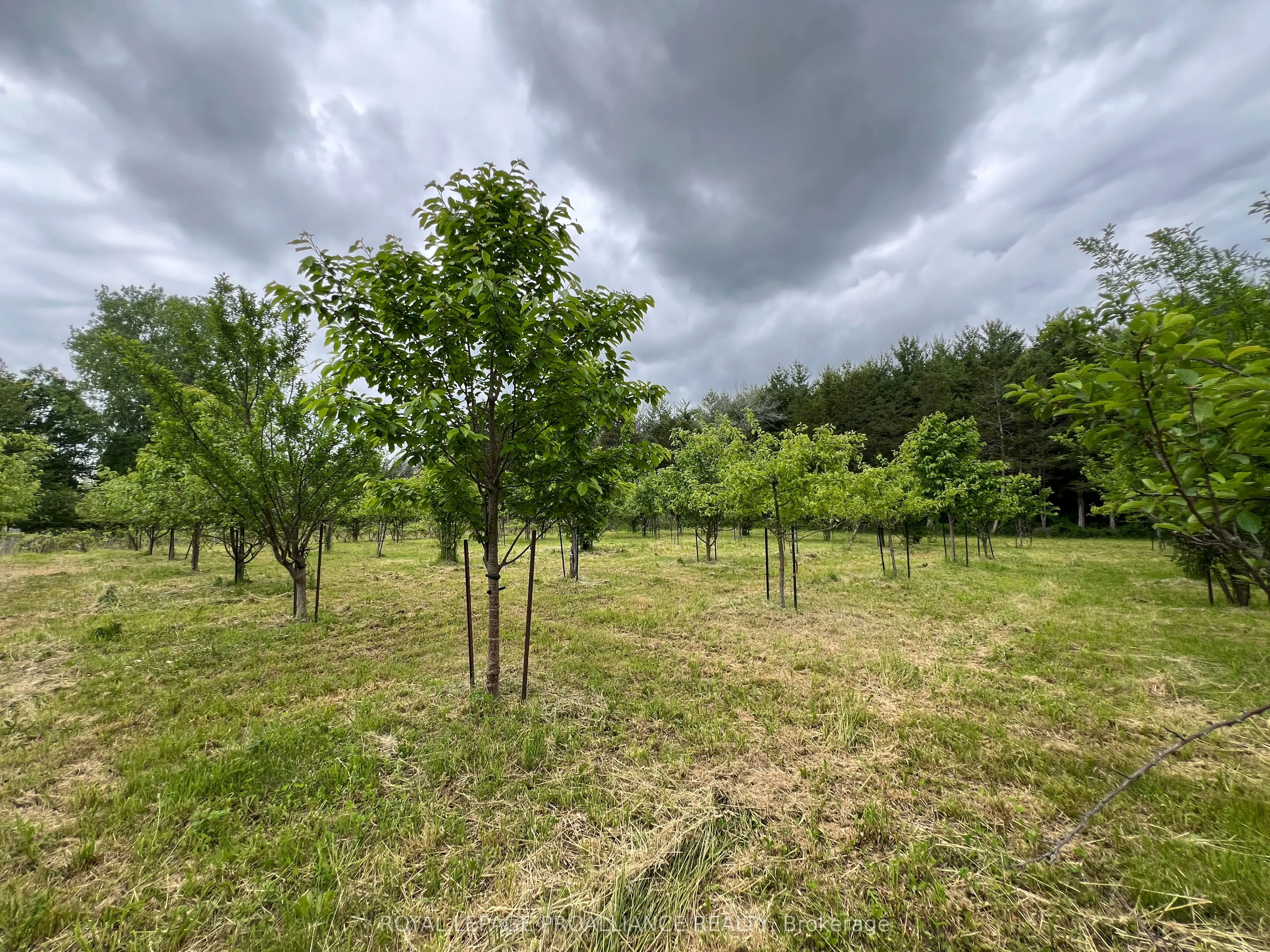 4563 County Road 9