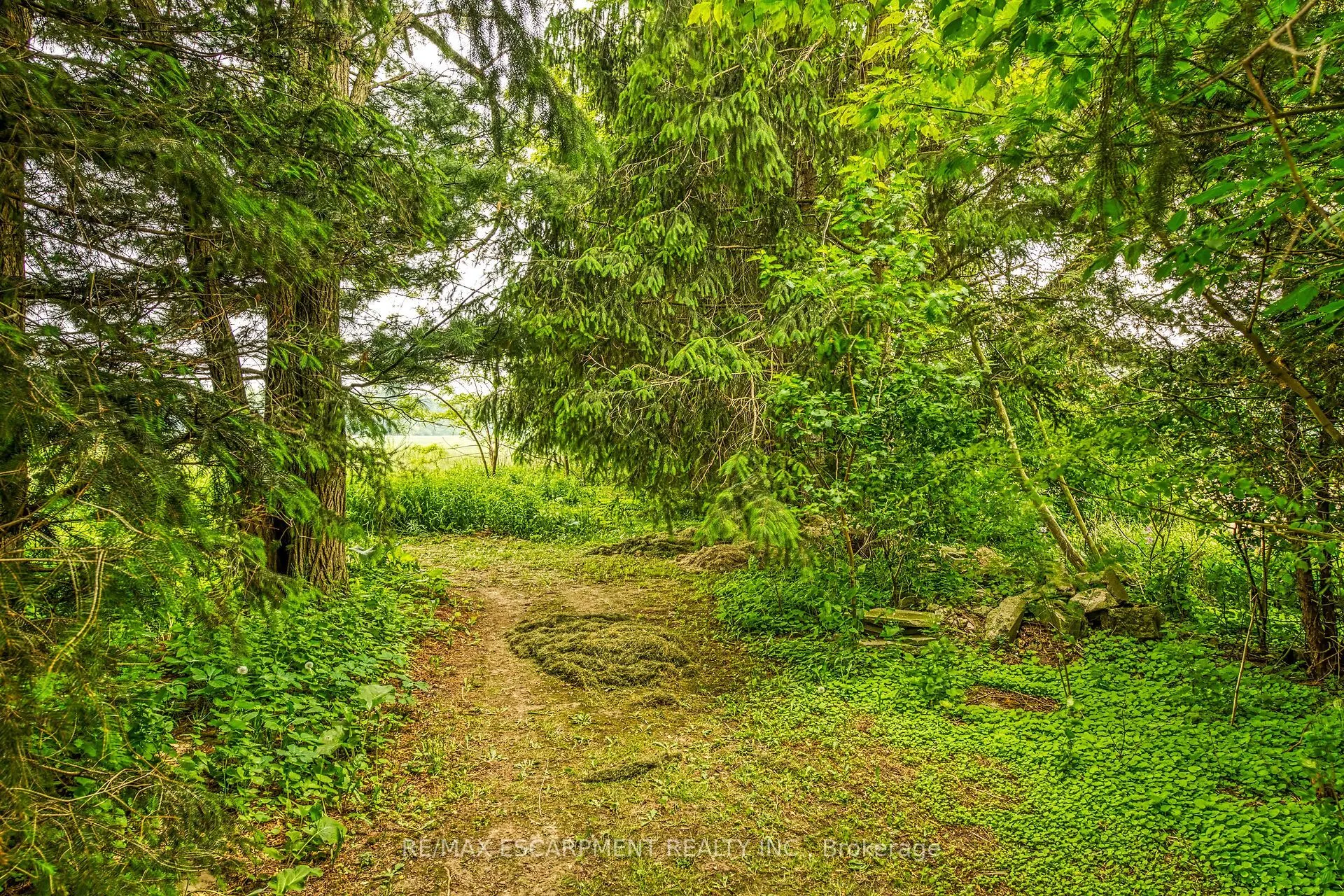 281 Big Creek Road