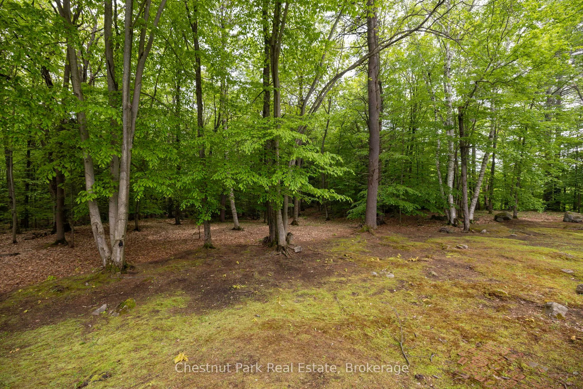 3711 Brunel Road