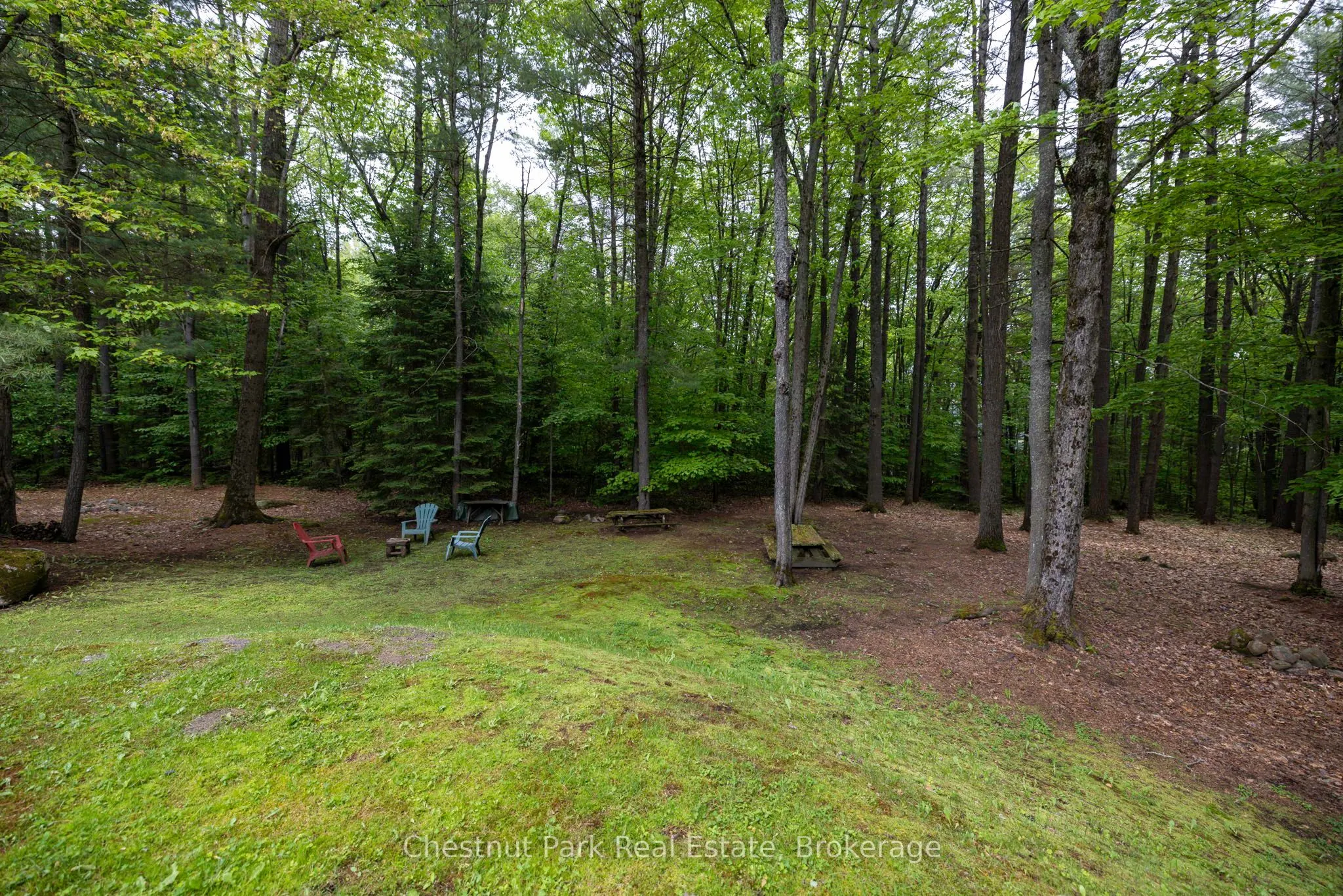 3711 Brunel Road