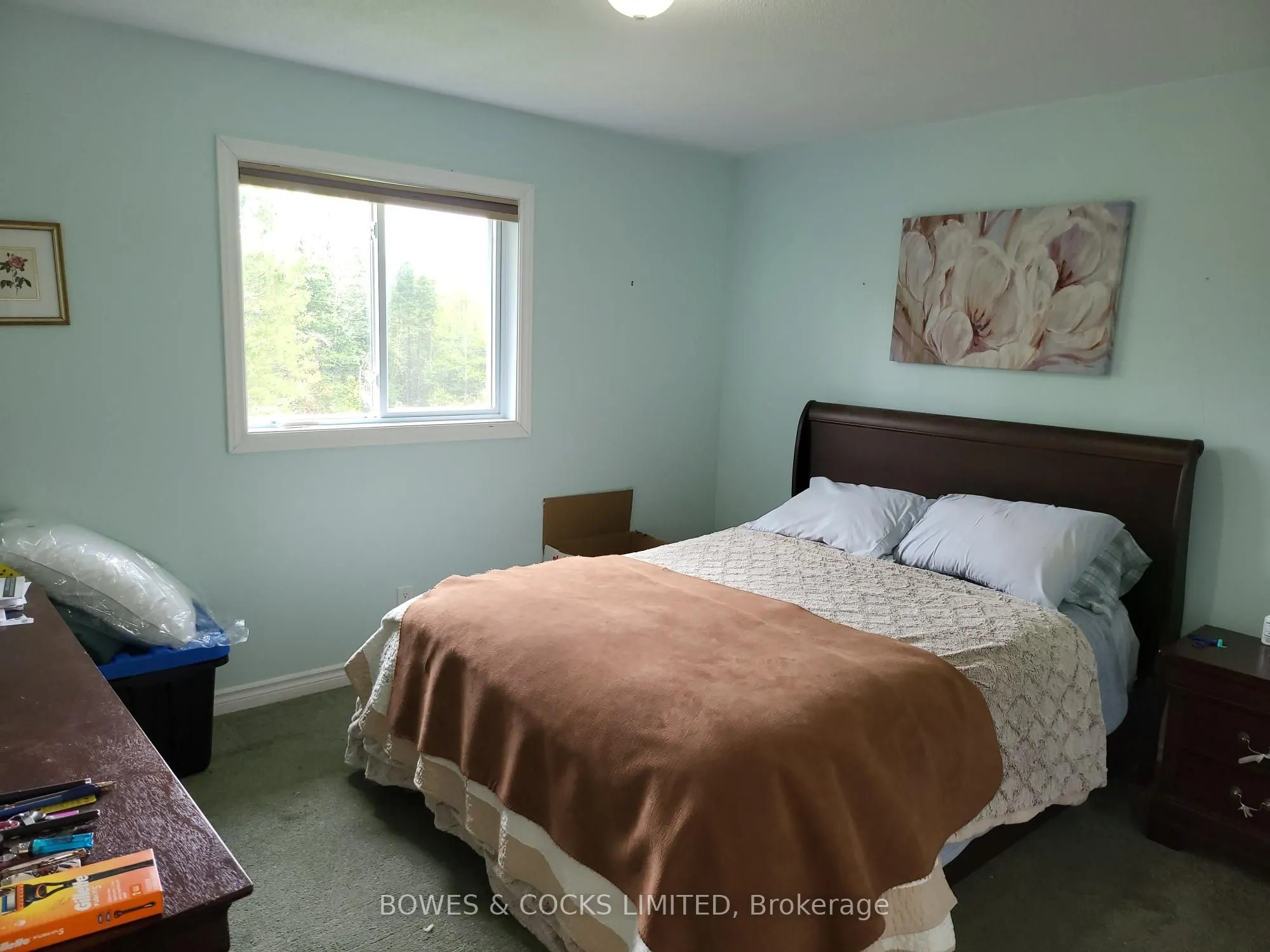 447 Frantz Road