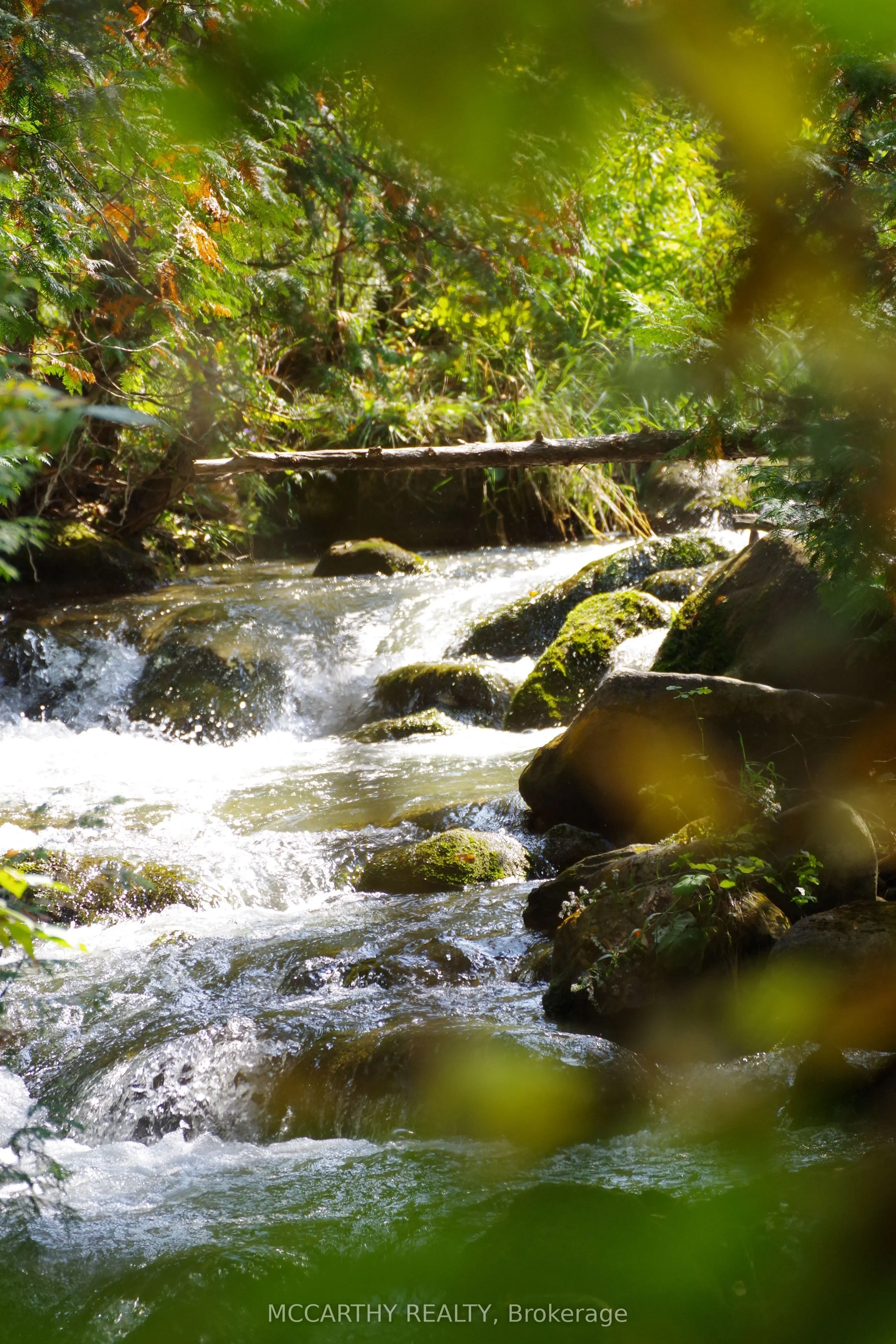 606095 River Road