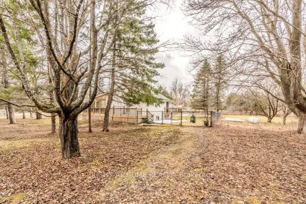 667287 20 Side Road