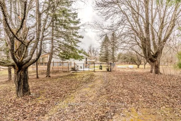 667287 20 Side Road