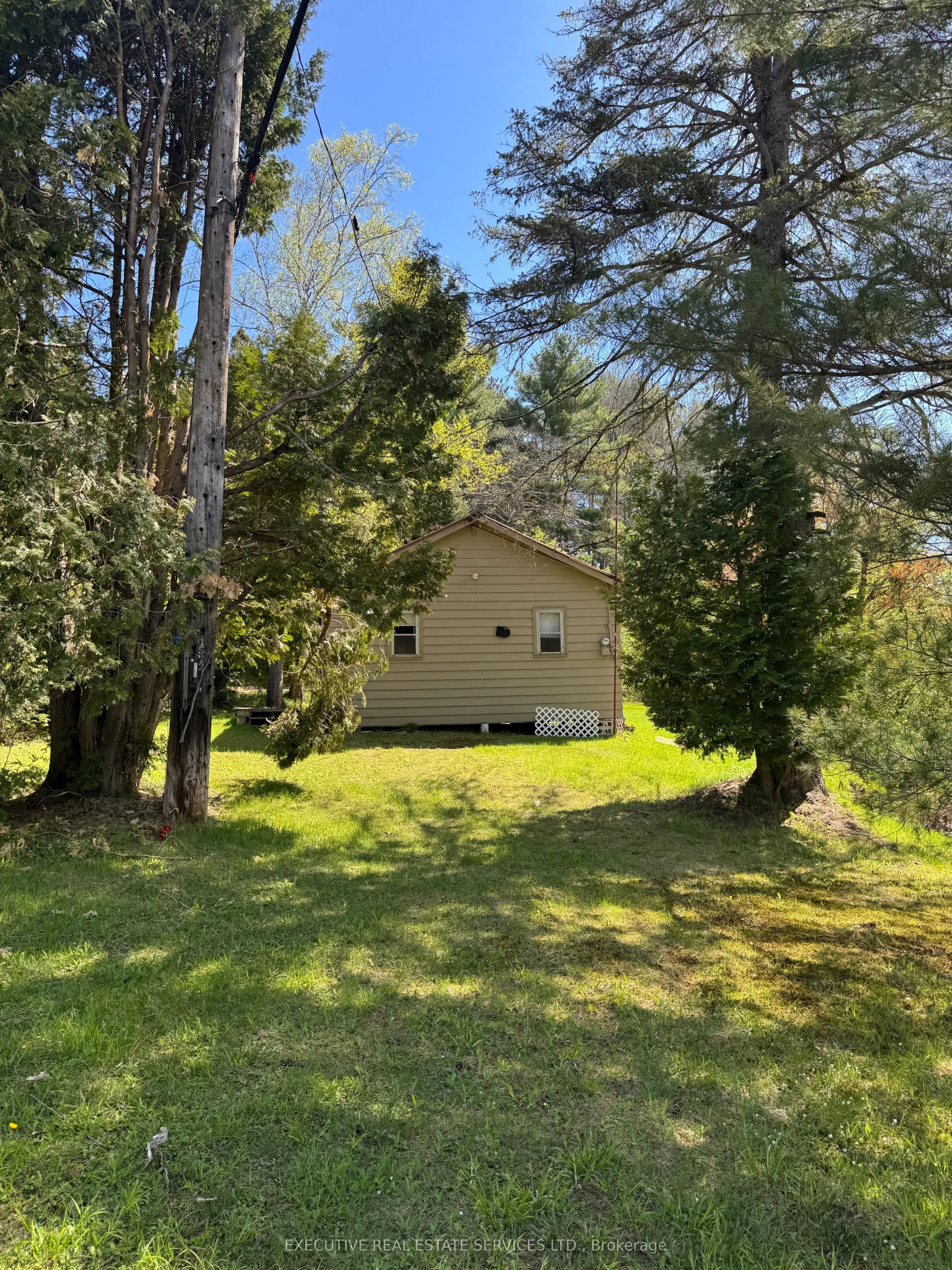 1438 Echo Lake Road