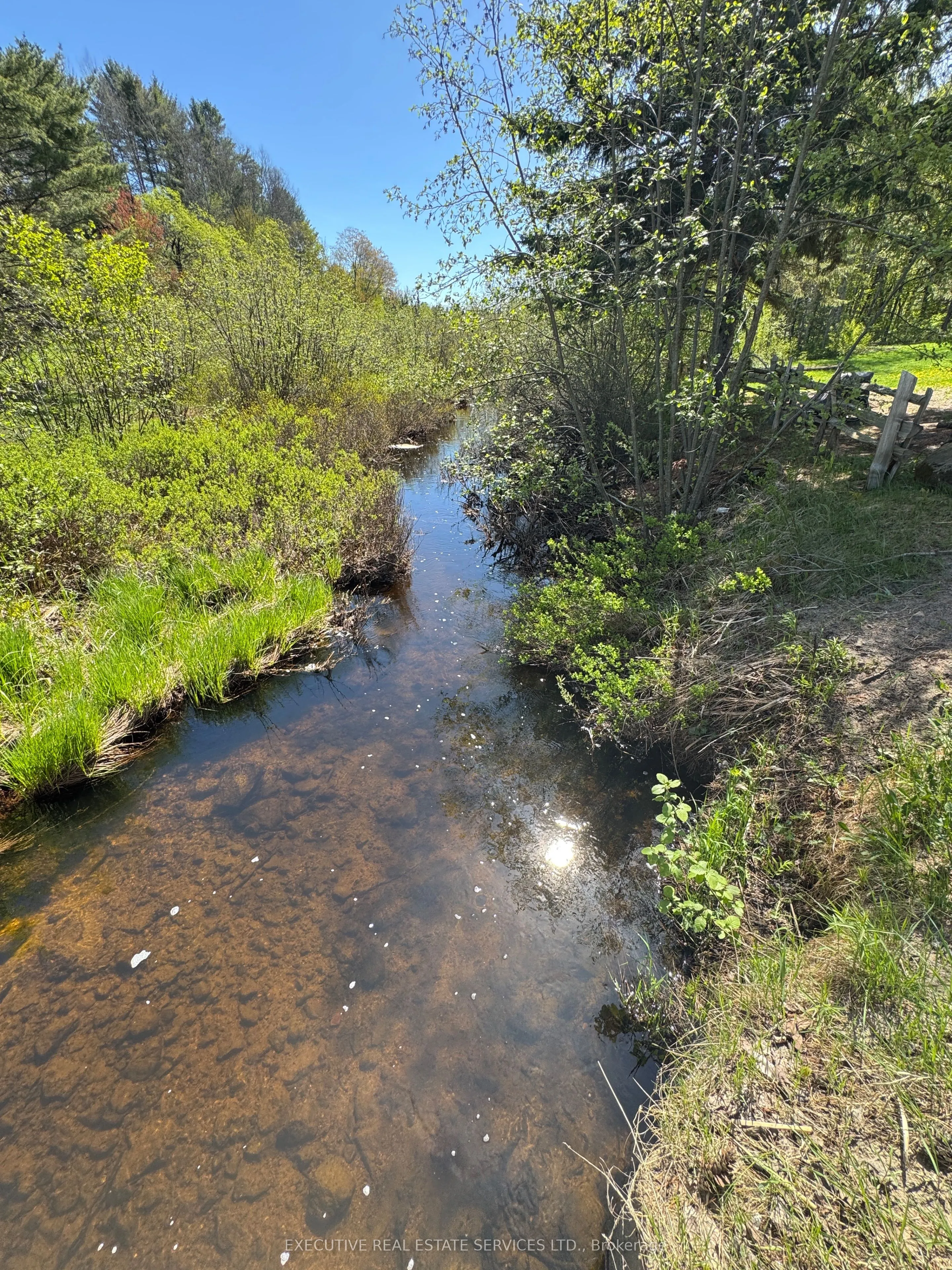 1438 Echo Lake Road