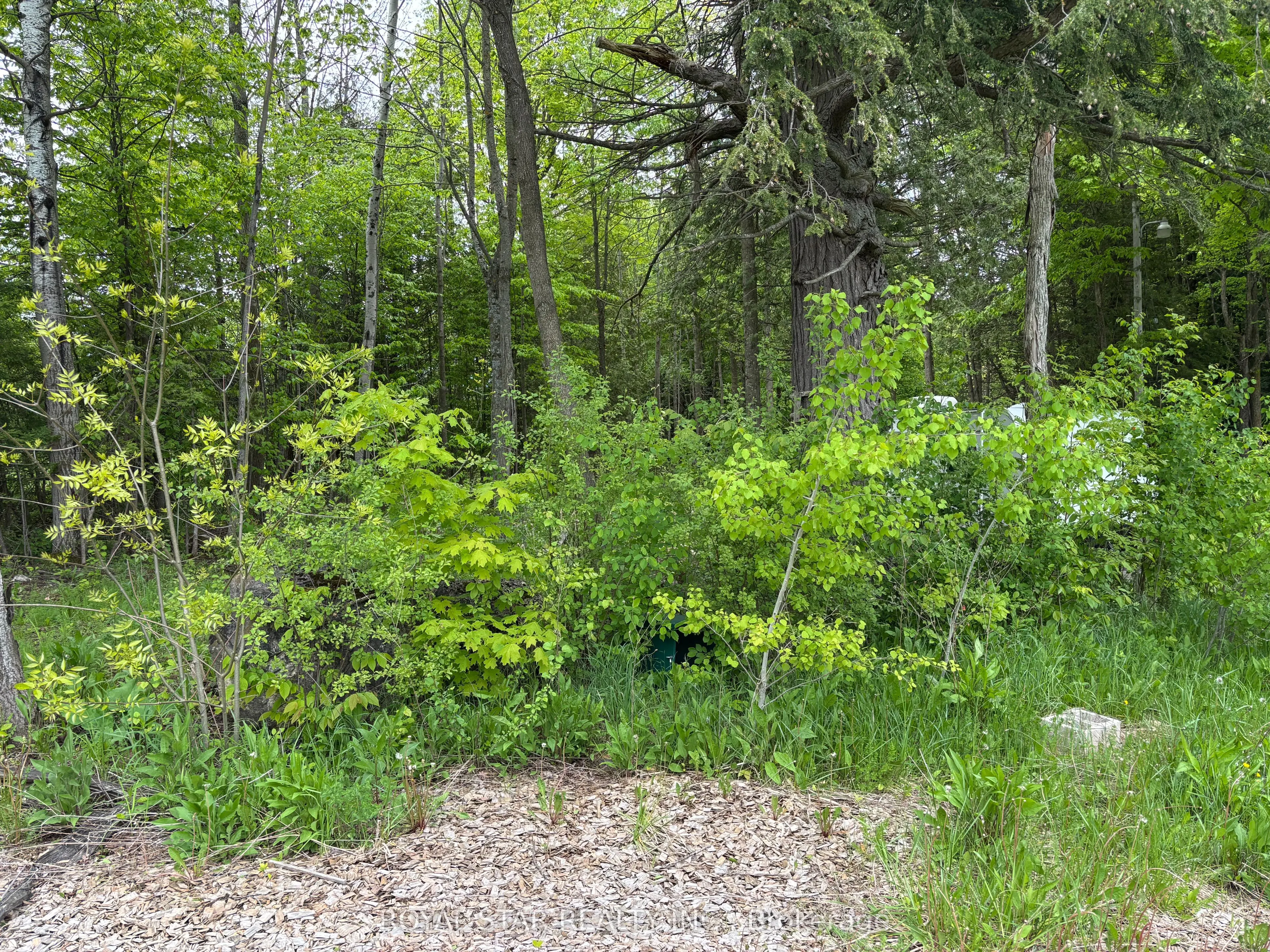 104264 Grey Road 18