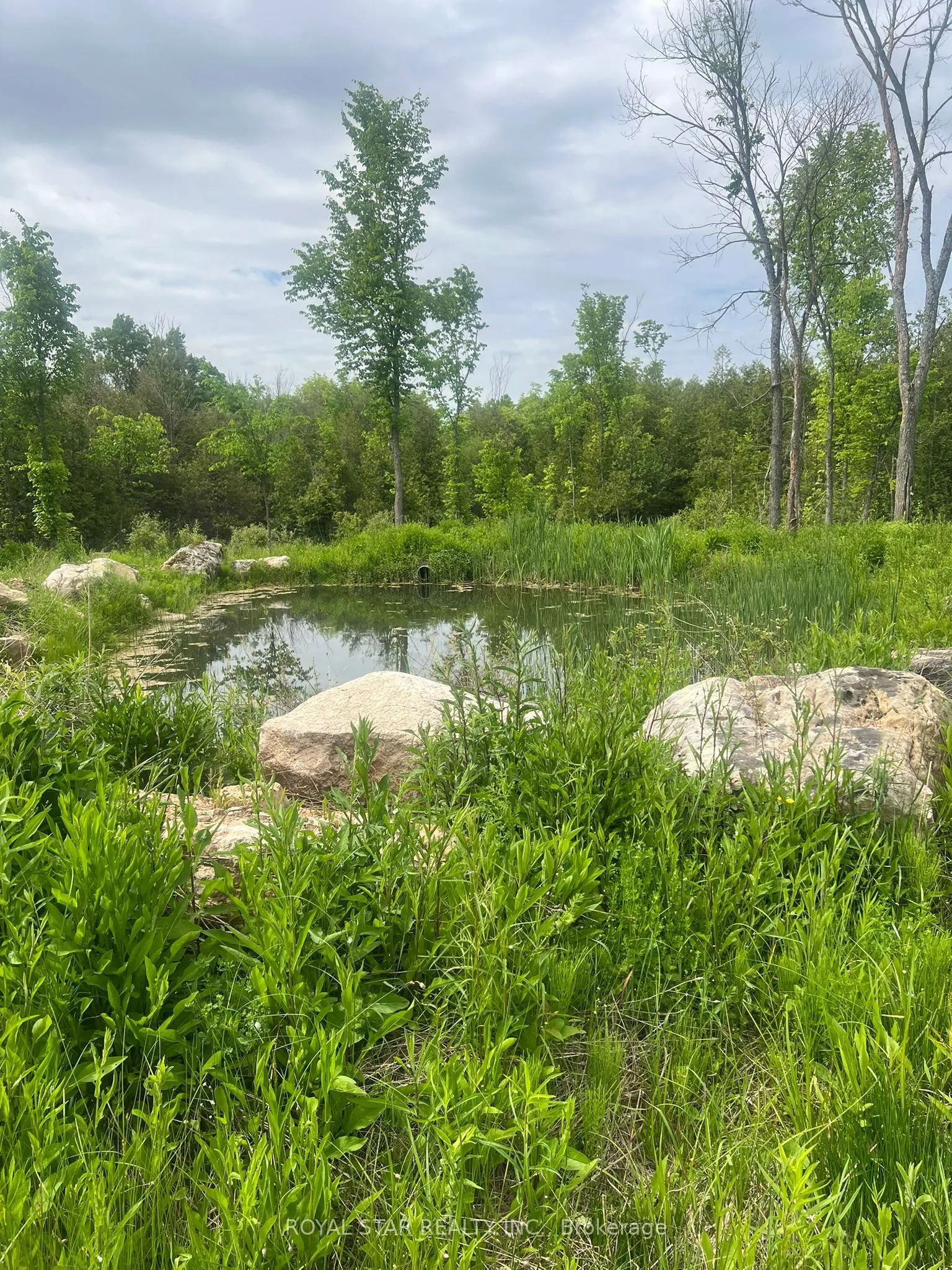 104264 Grey Road 18