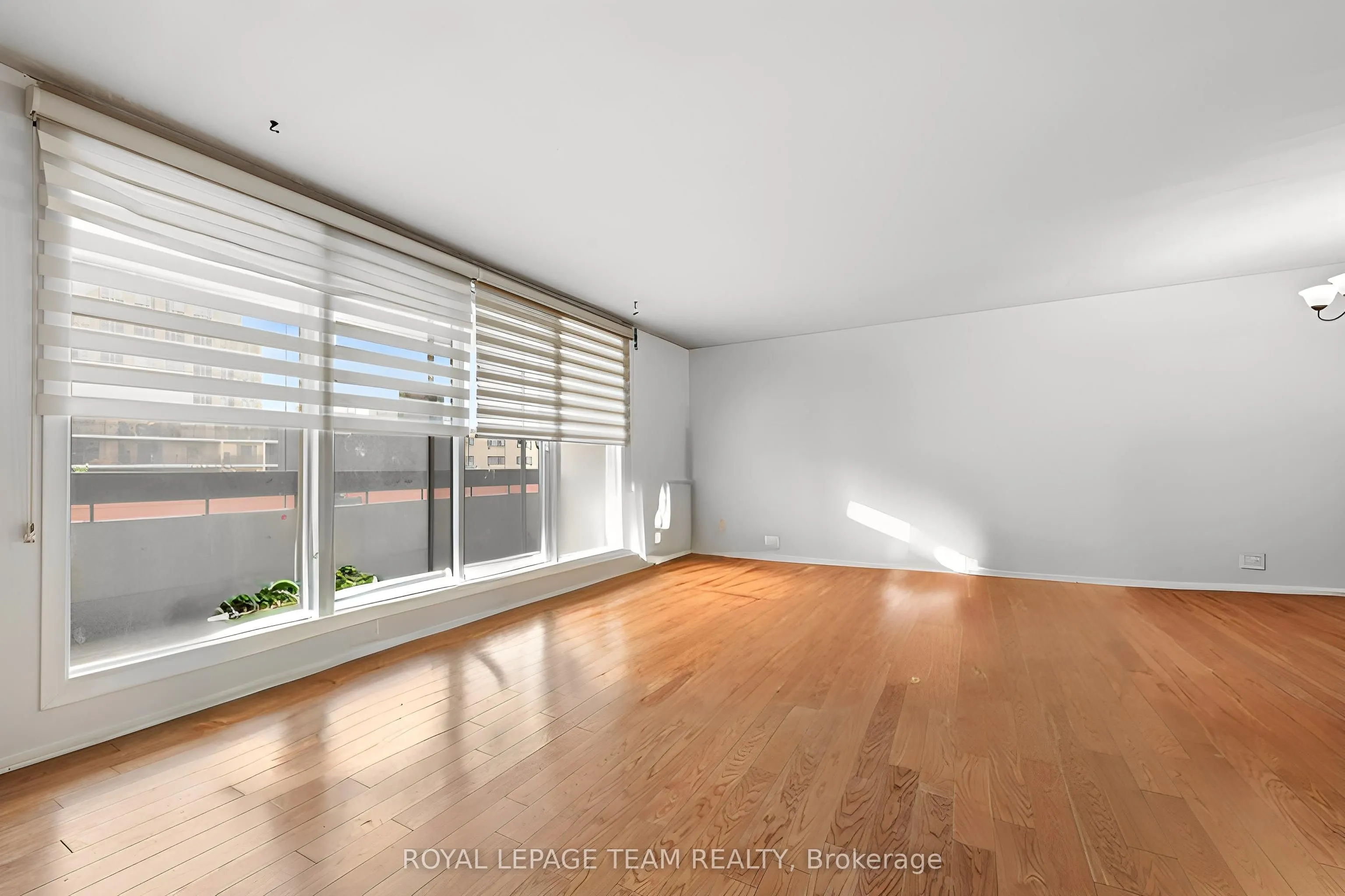 141 Somerset Street W #1202