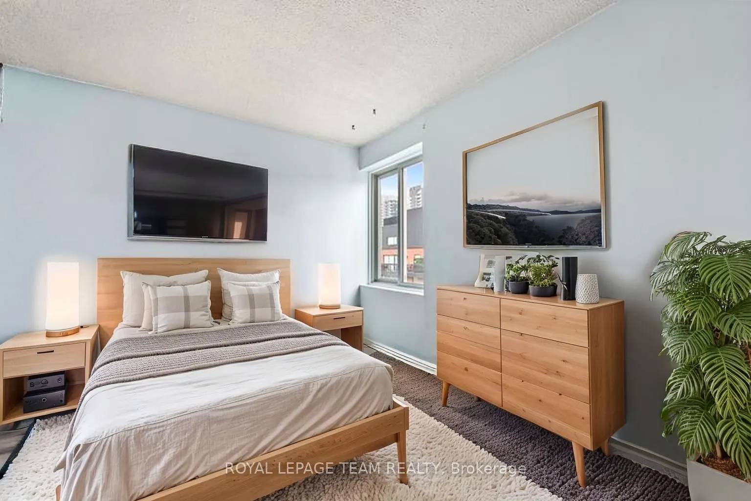 141 Somerset Street W #1202