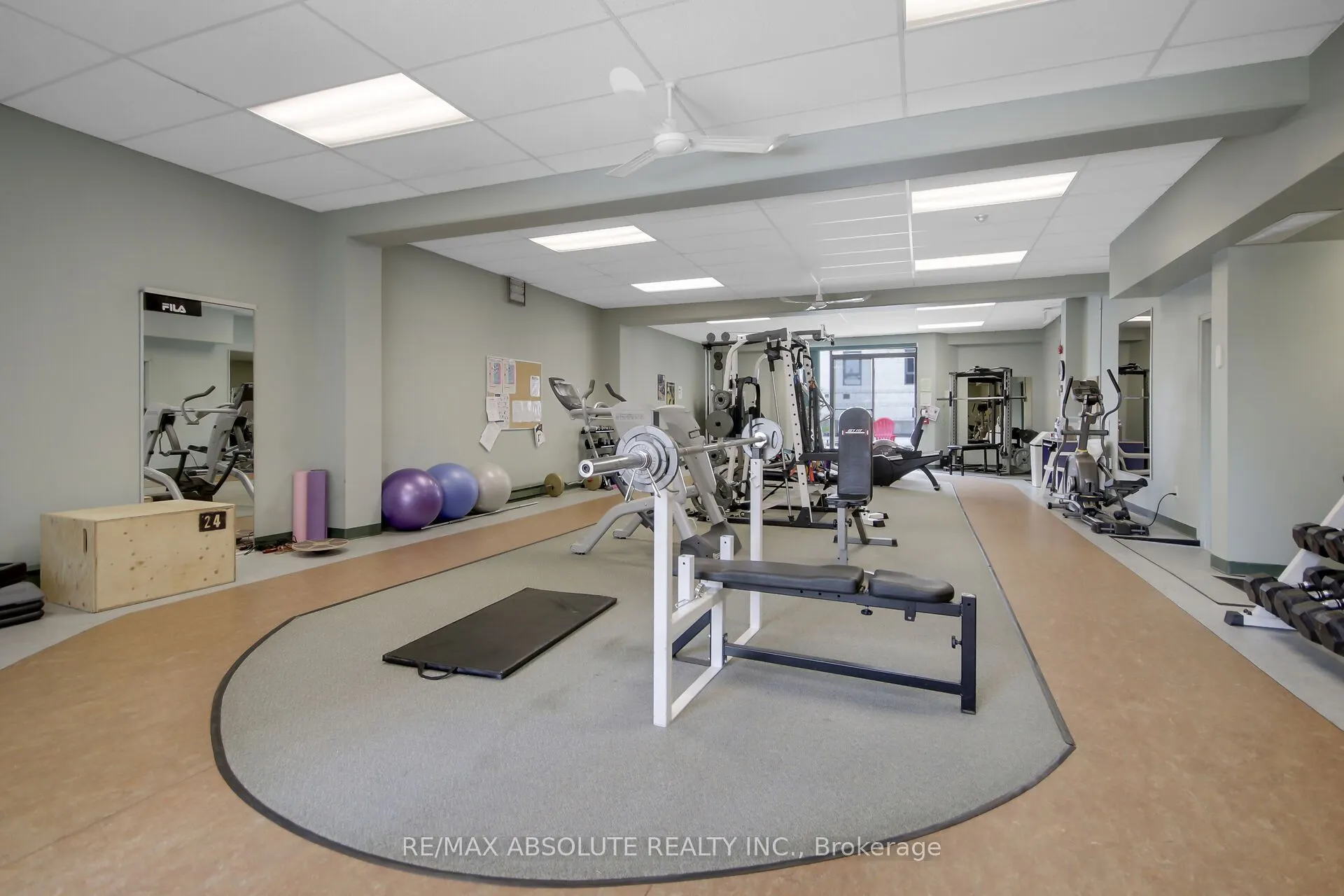 50 Emmerson Avenue, #203