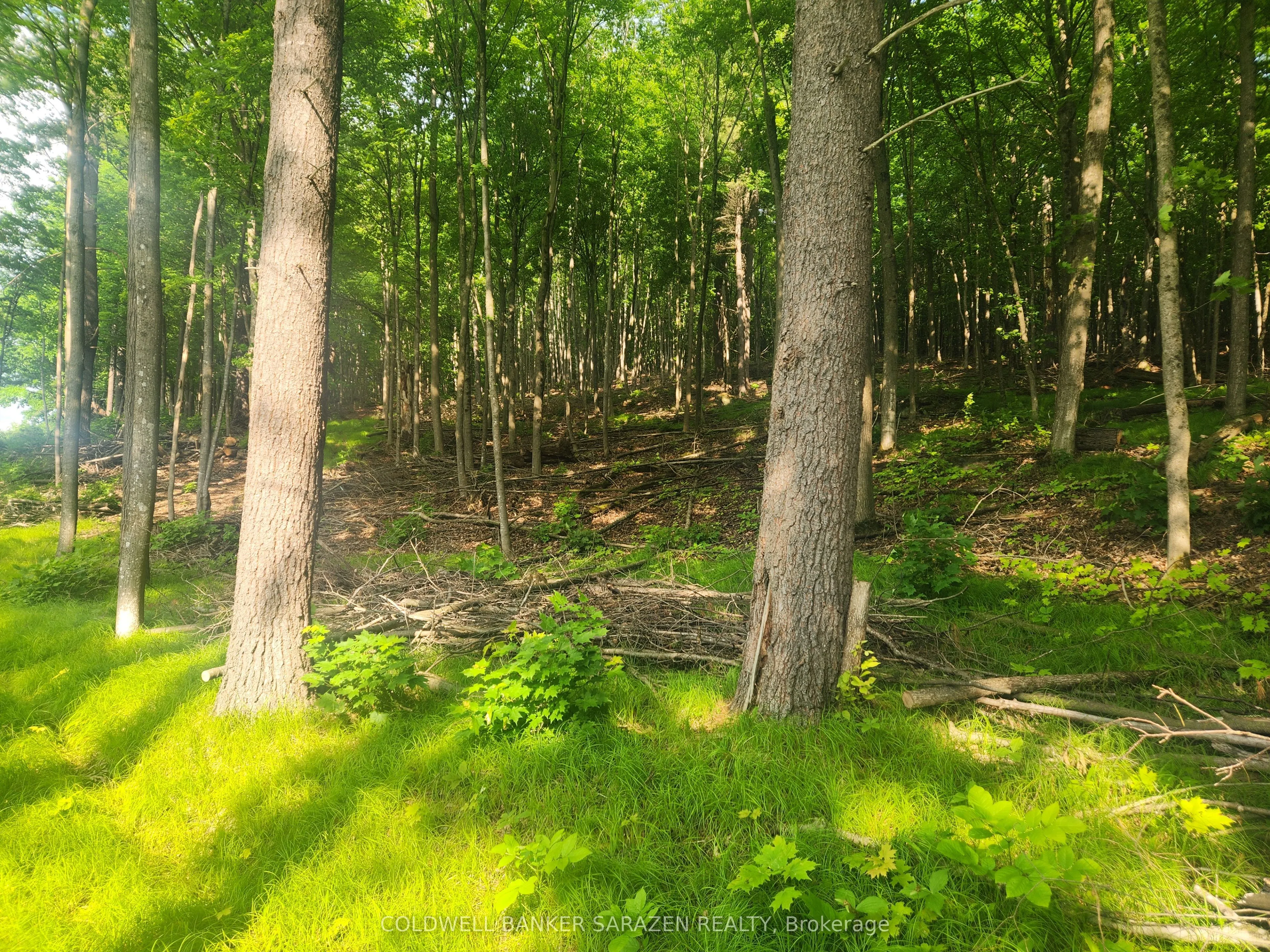 1680 CALABOGIE Road