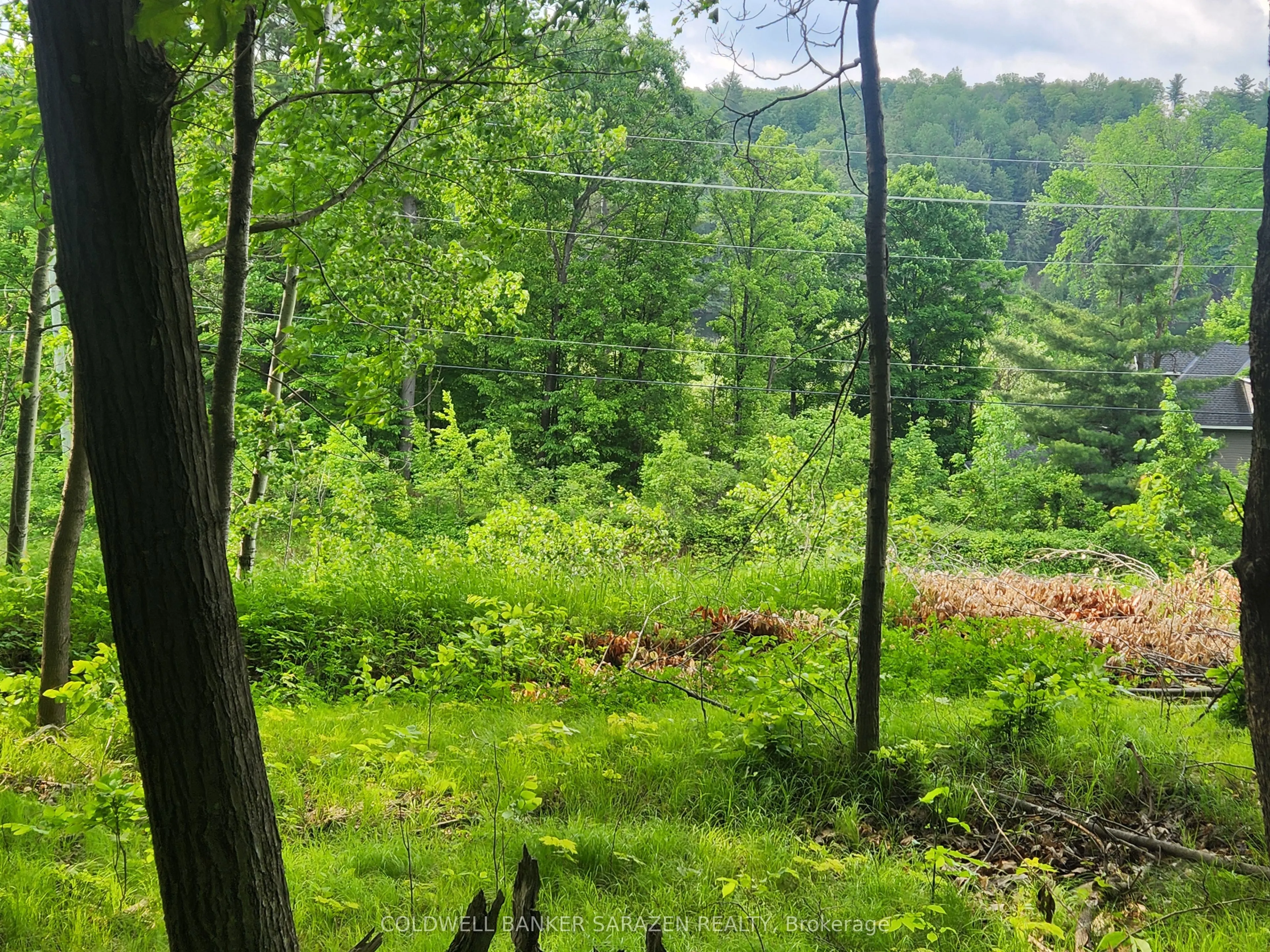 1680 CALABOGIE Road