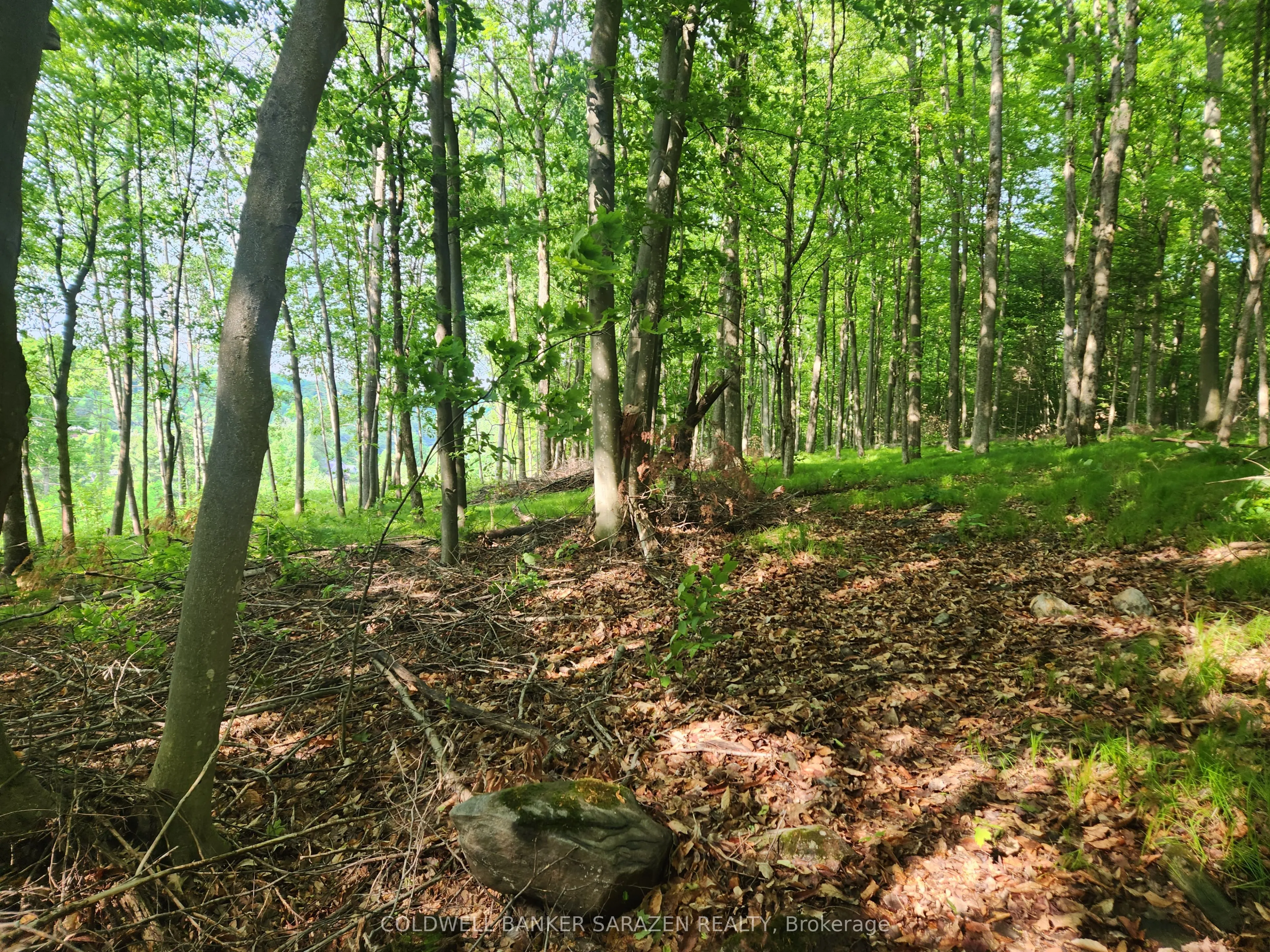 1680 CALABOGIE Road