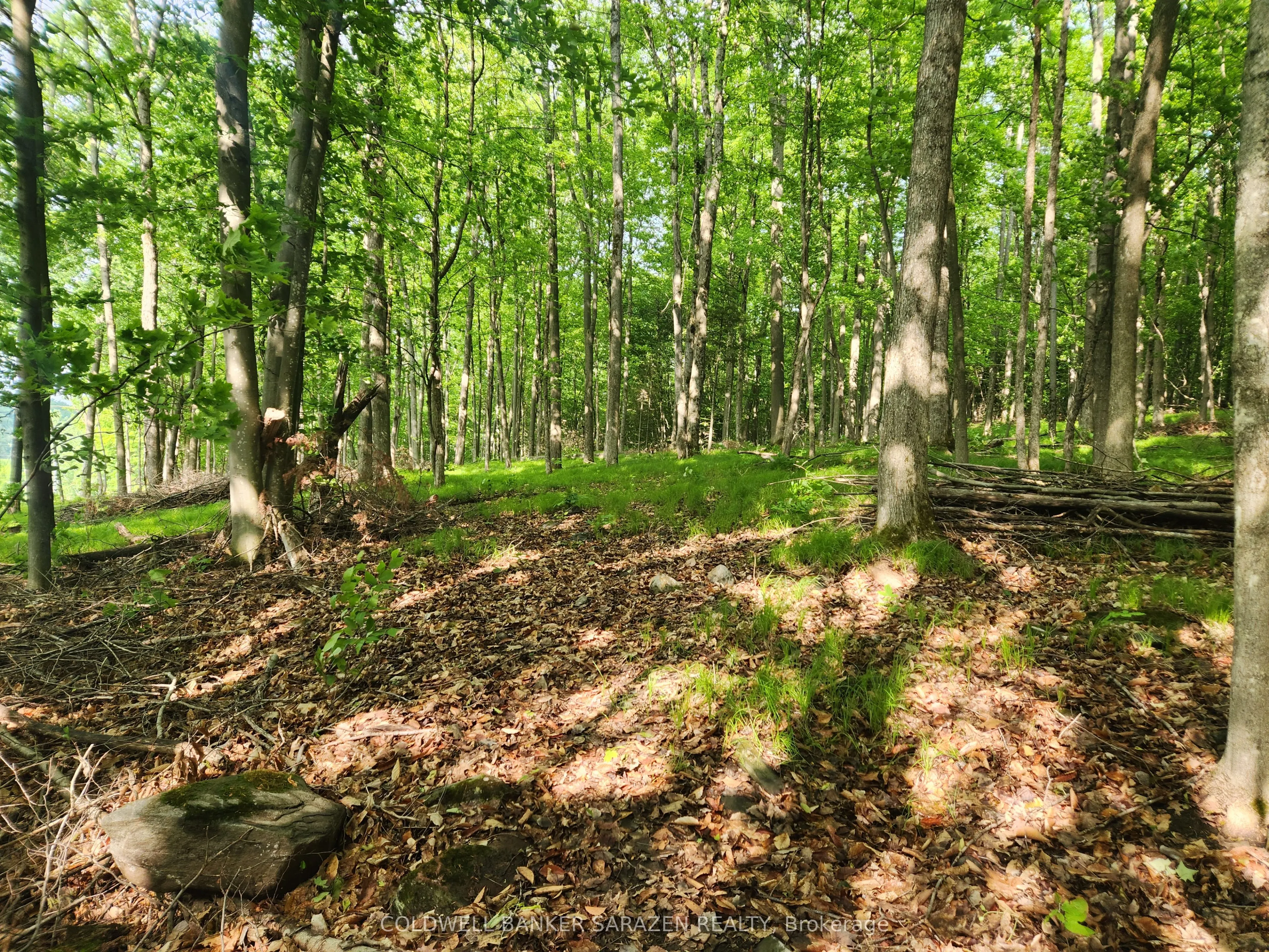1680 CALABOGIE Road