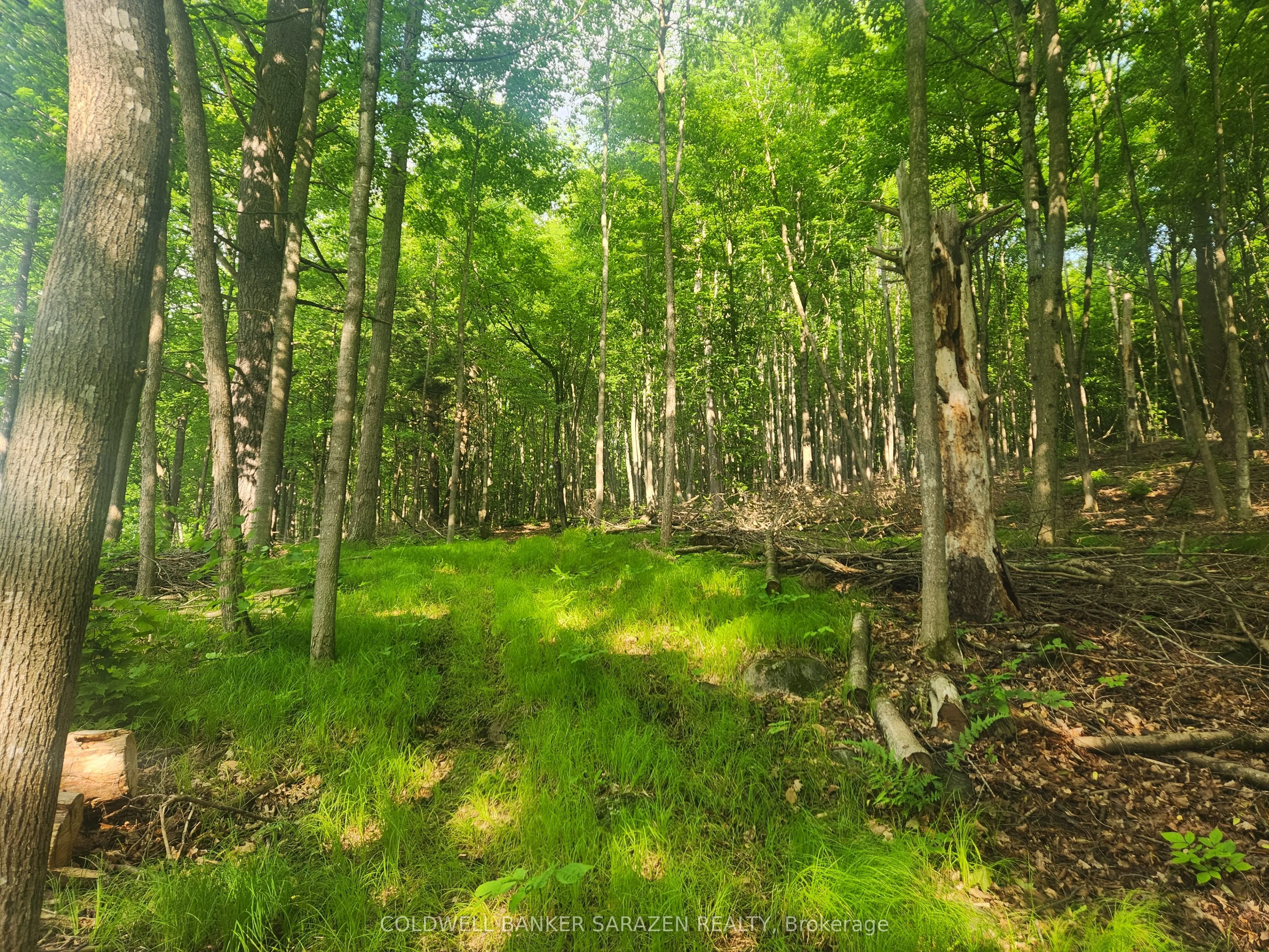 1680 CALABOGIE Road