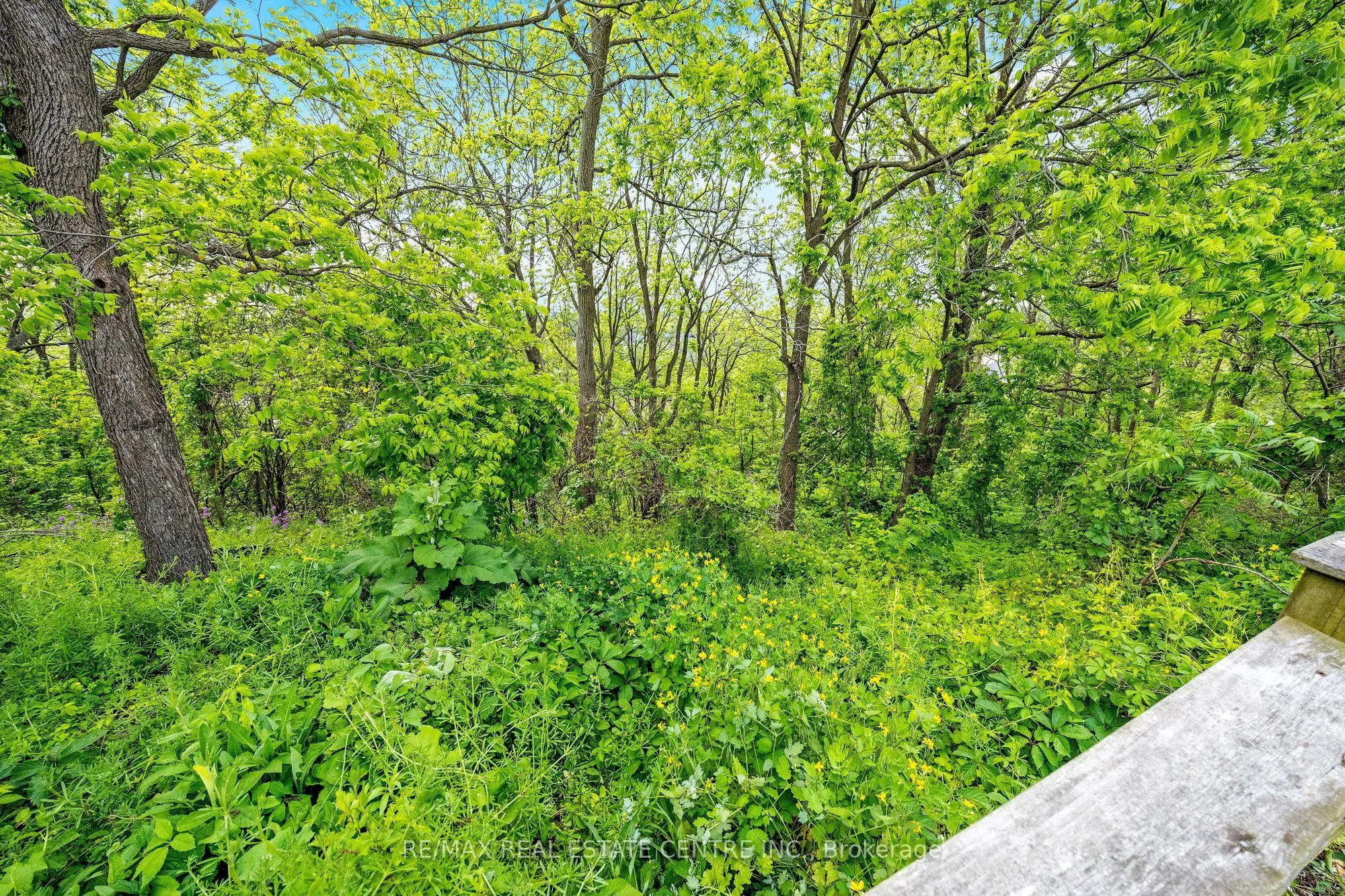 237 Ridge Top Crescent