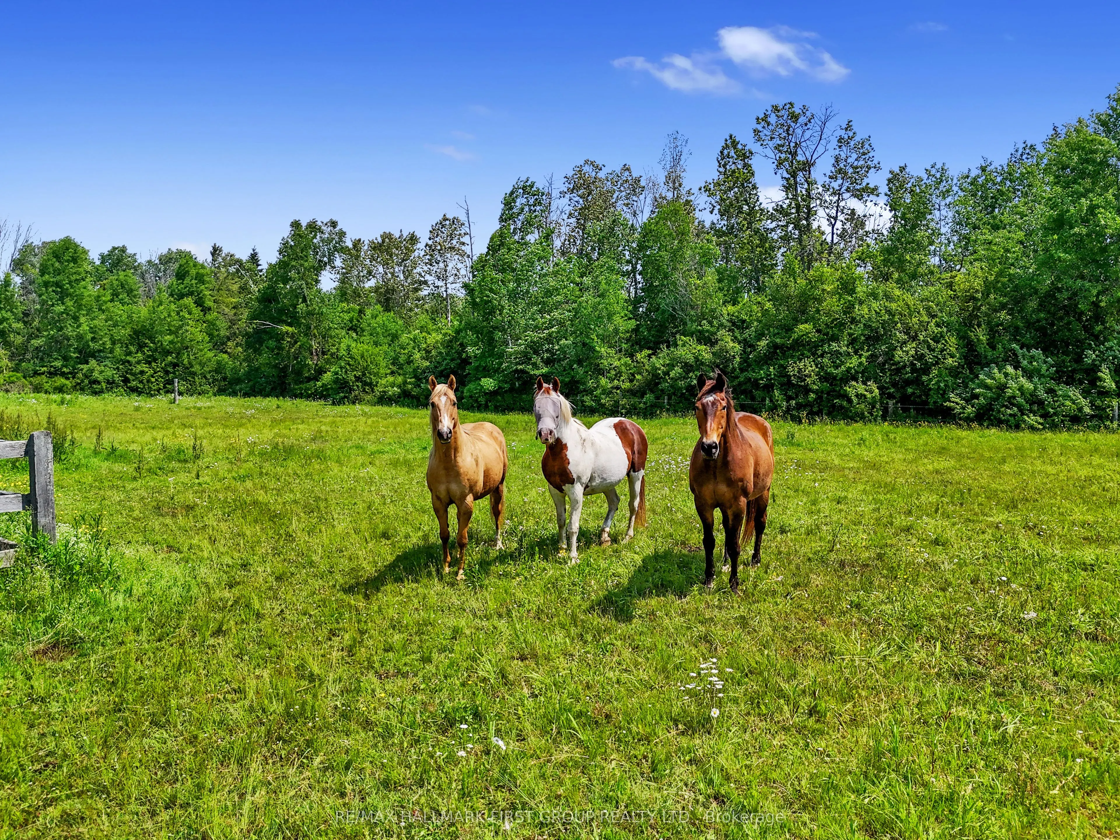 13715 County 2 Road