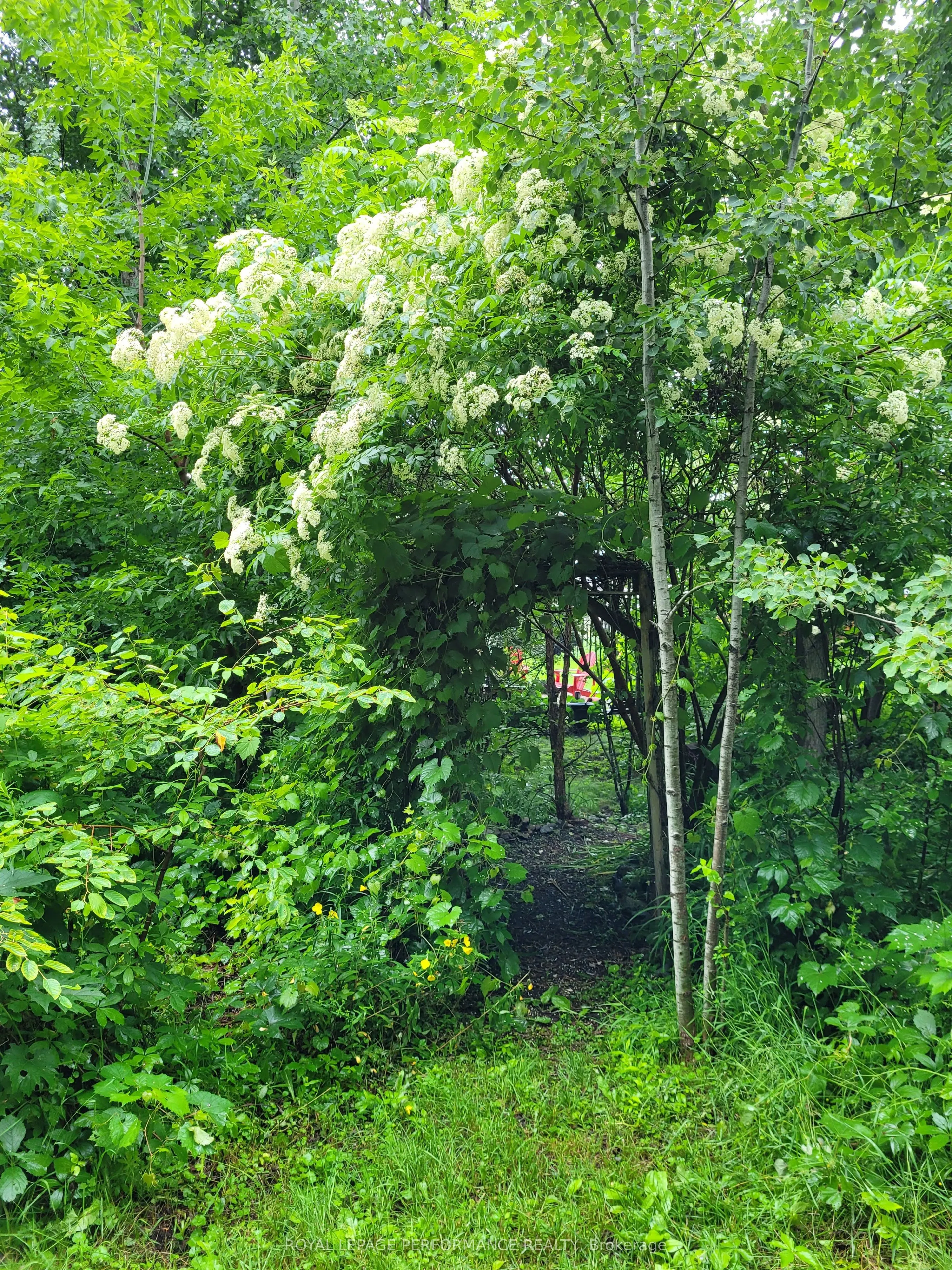 128 Station Trail