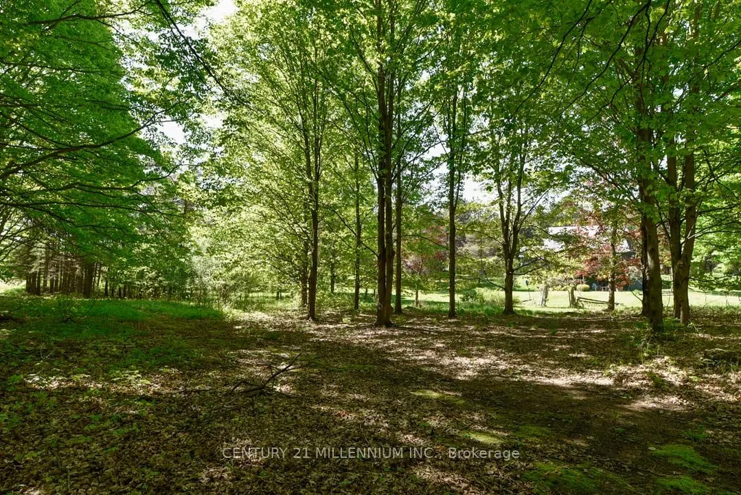 248504 5 Sideroad