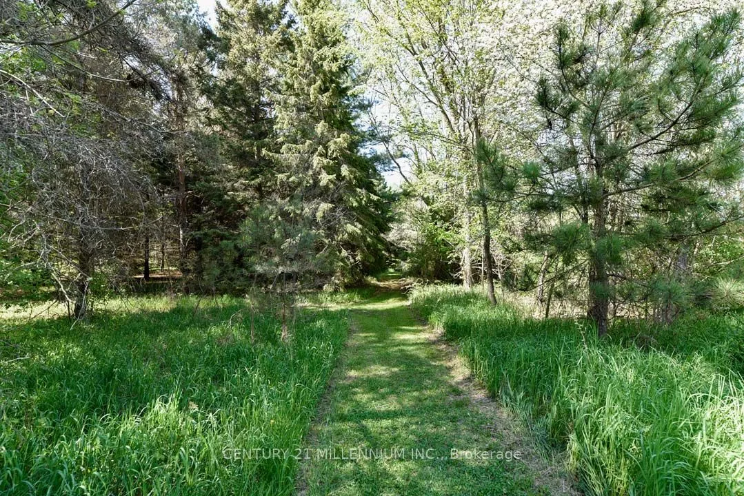 248504 5 Sideroad