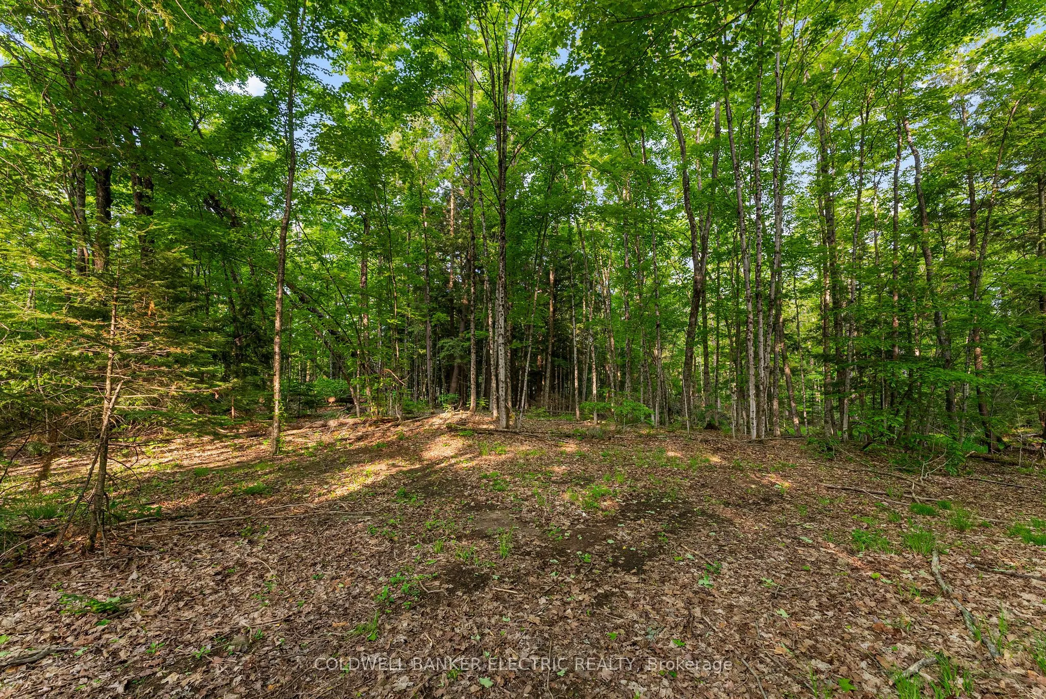 8248 County Road 46 Road
