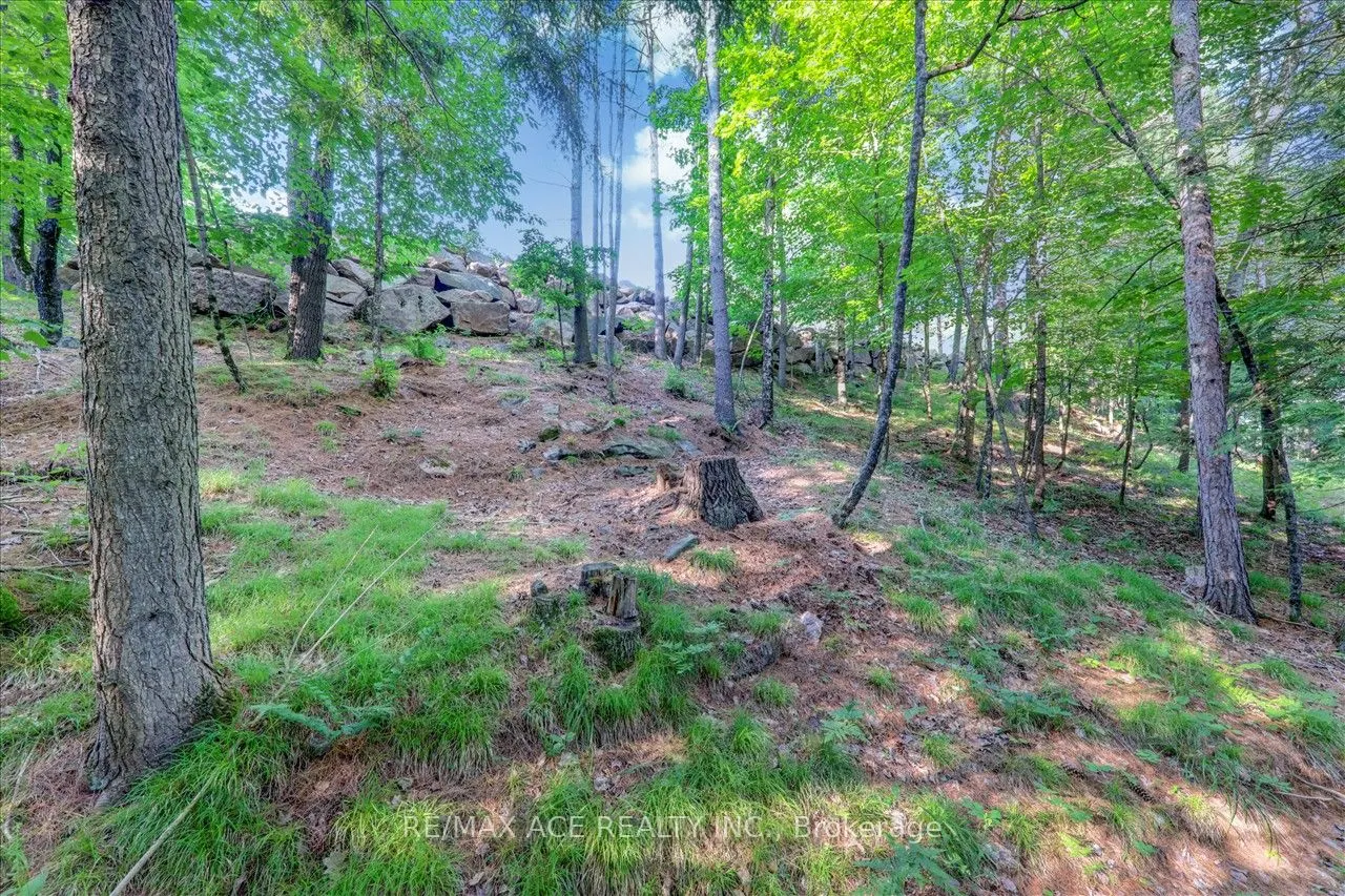 111 Gazelle Trail